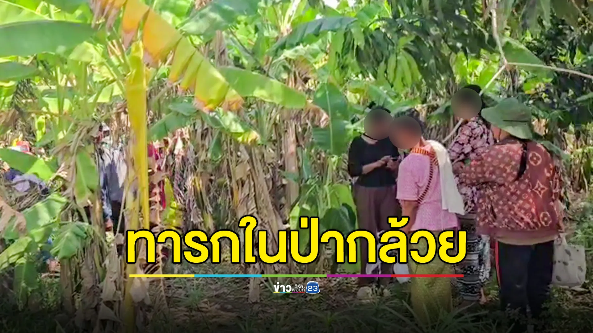 พบทารกเพศชายถูกทิ้งในป่ากล้วย ส่งเสียงร้องจ้า มีมดรุมกัดทั่วตัว