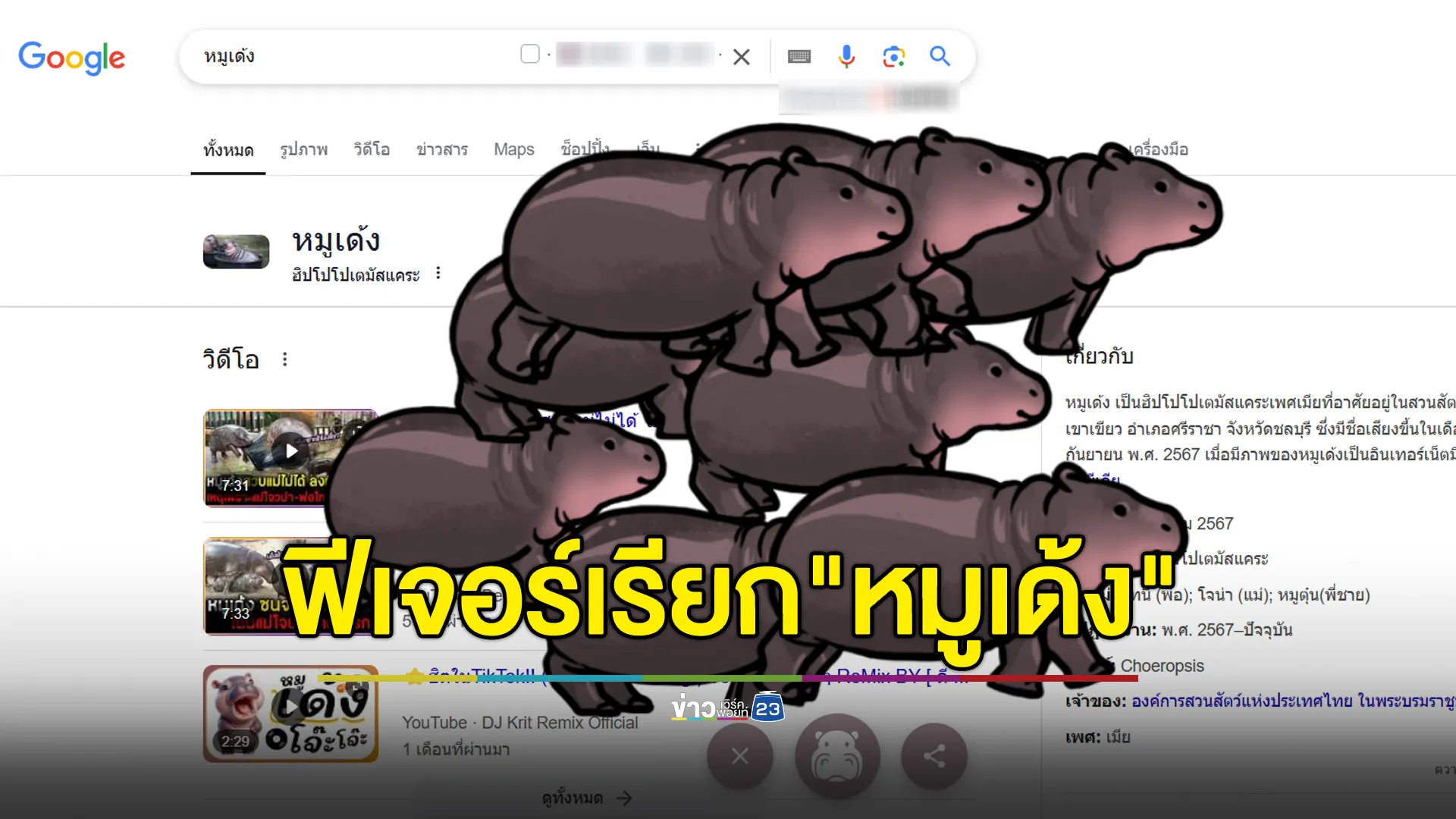 Google เอาใจแฟน"หมูเด้ง"เพิ่มฟีเจอร์เรียก"หมูเด้ง"วิ่งบนหน้าจอ