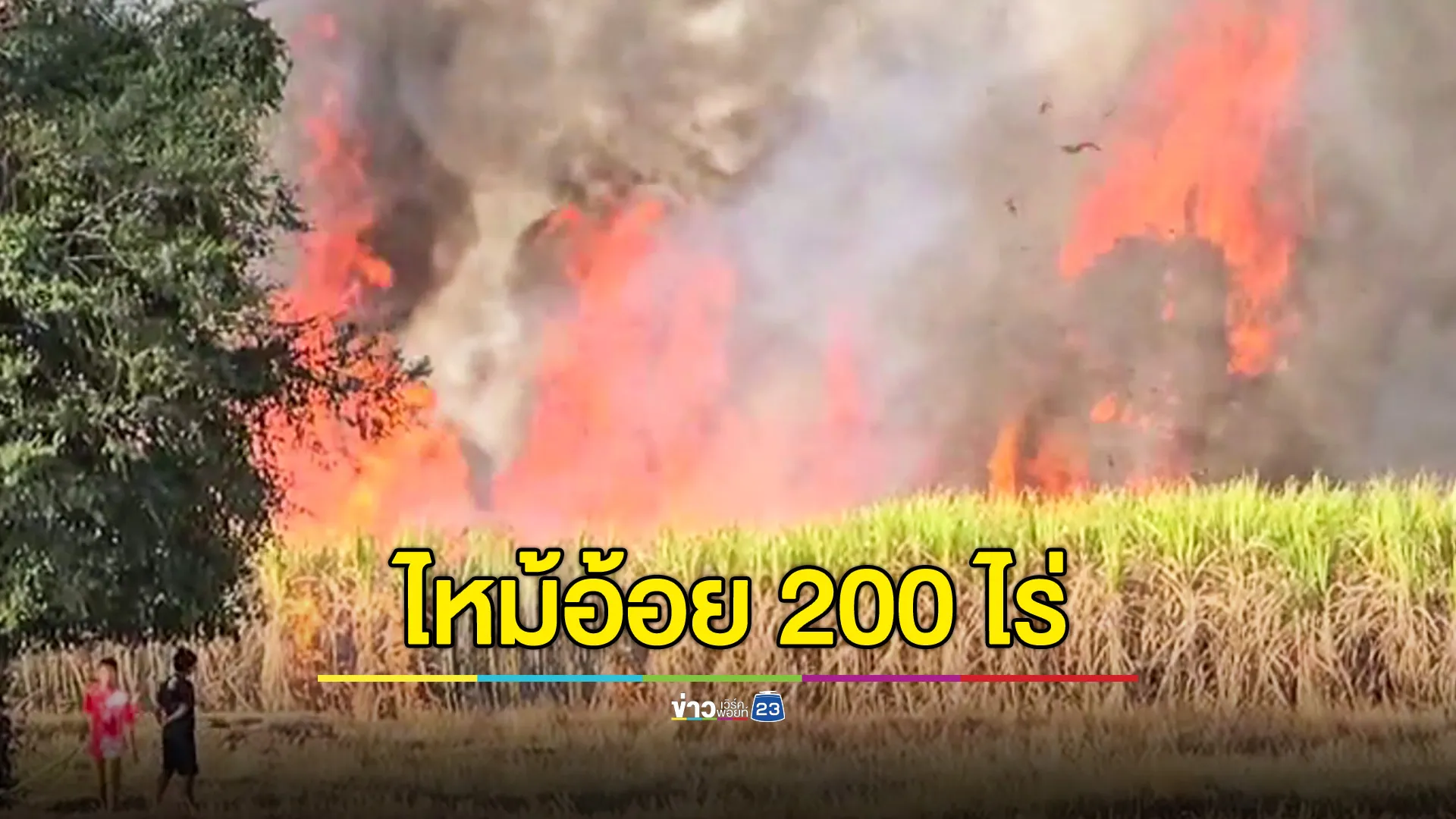 ไฟลามทุ่งไหม้ไร่อ้อย 200 ไร่ คาดมีคนแอบเผา เจ้าของไร่โร่เเจ้งความ  