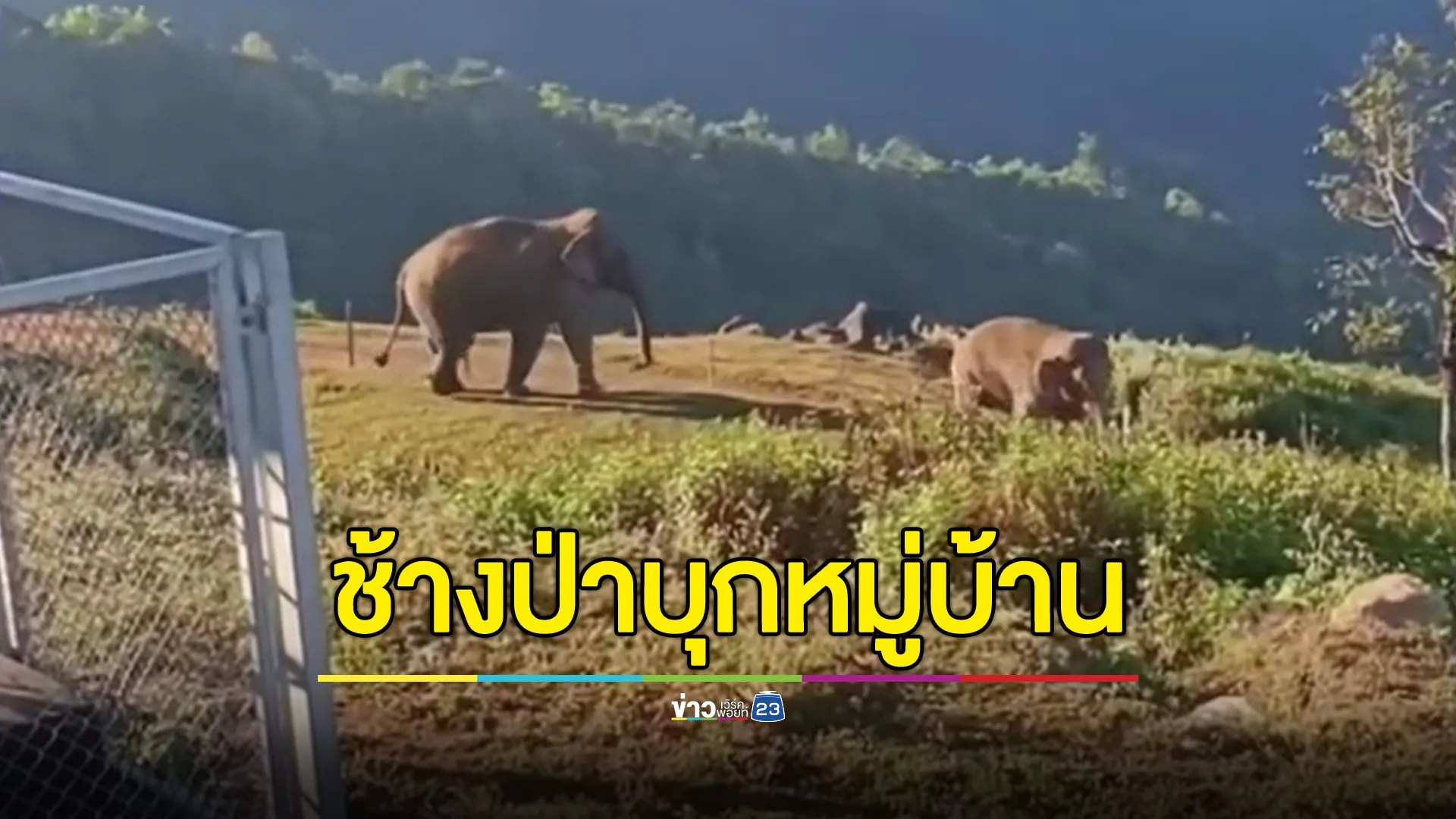 ชาวบ้านผวา ช้างป่าบุกหมู่บ้านที่อมก๋อย