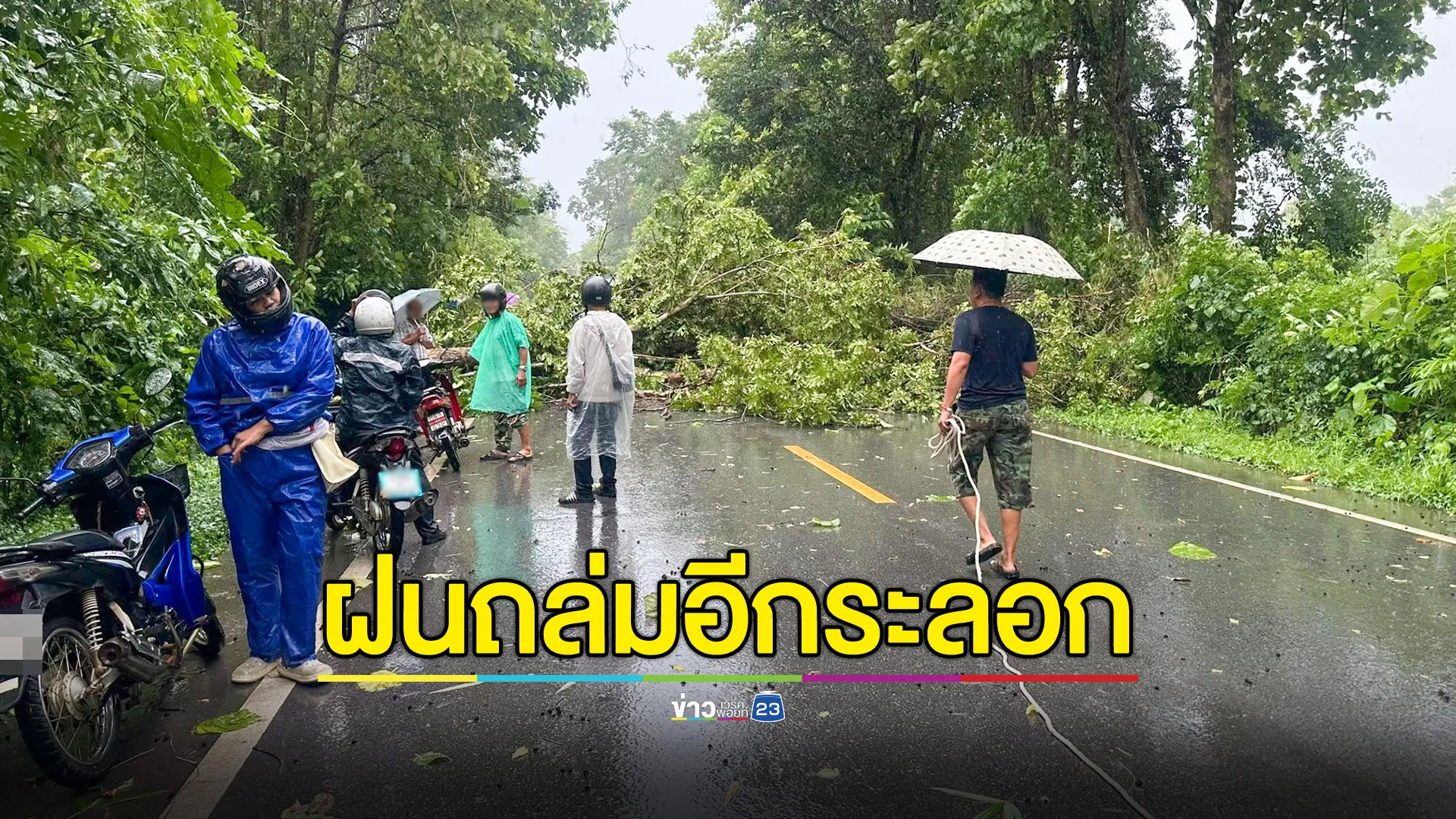 ฝนถล่มเมืองแพร่อีกระลอก ต้นไม้ล้มขวางถนน-ทับสายไฟฟ้า-หม้อแปลงระเบิด