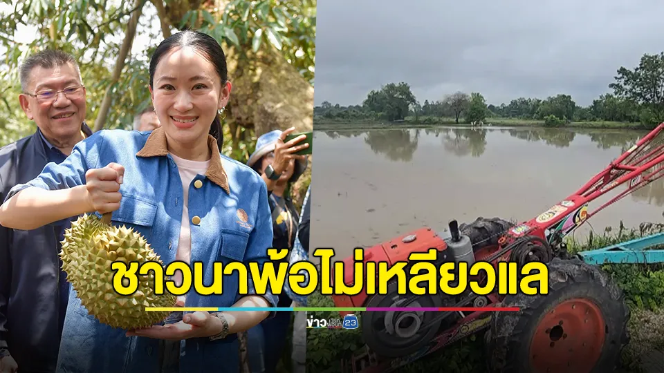 ชาวนาน้อยใจรัฐ! ไม่ช่วยเหลือดูช่วยแต่ชาวสวนทุเรียน