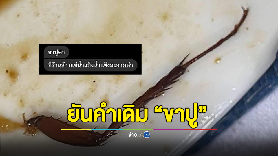 เปิดใจ! สาวช็อก! เจอขาแมลงสาบในส้มตำ ร้านอ้าง "ขาปู"