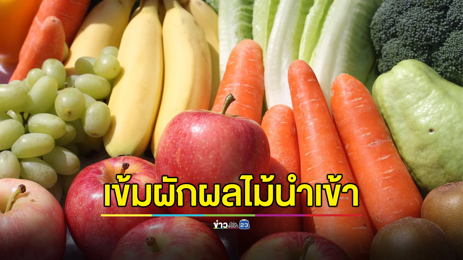 อย.ตรวจสอบเข้มผักผลไม้นำเข้า หากไม่ผ่านเกณฑ์ถูกดำเนินคดี