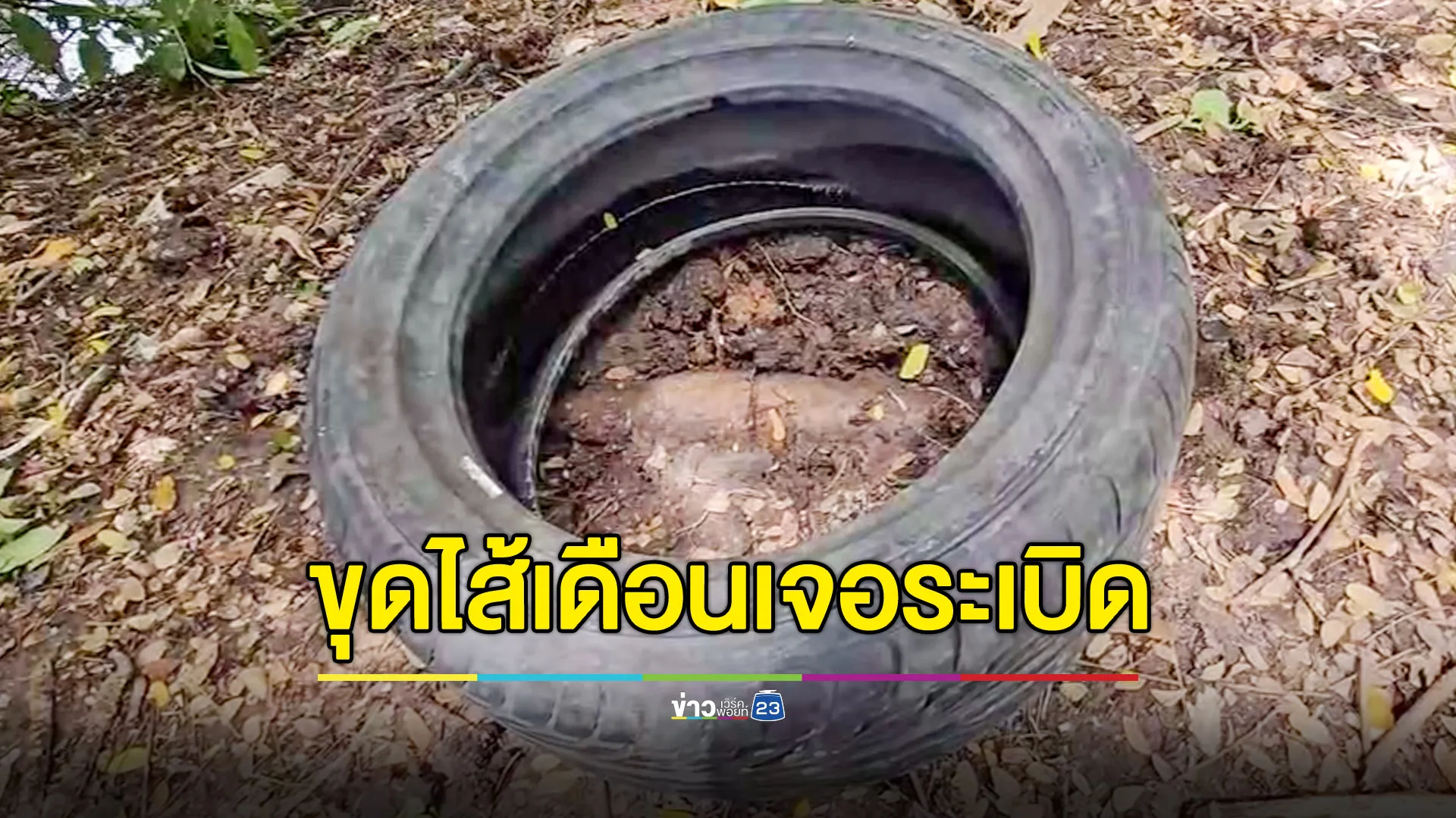 ขุดไส้เดือน เจอลูกระเบิด 