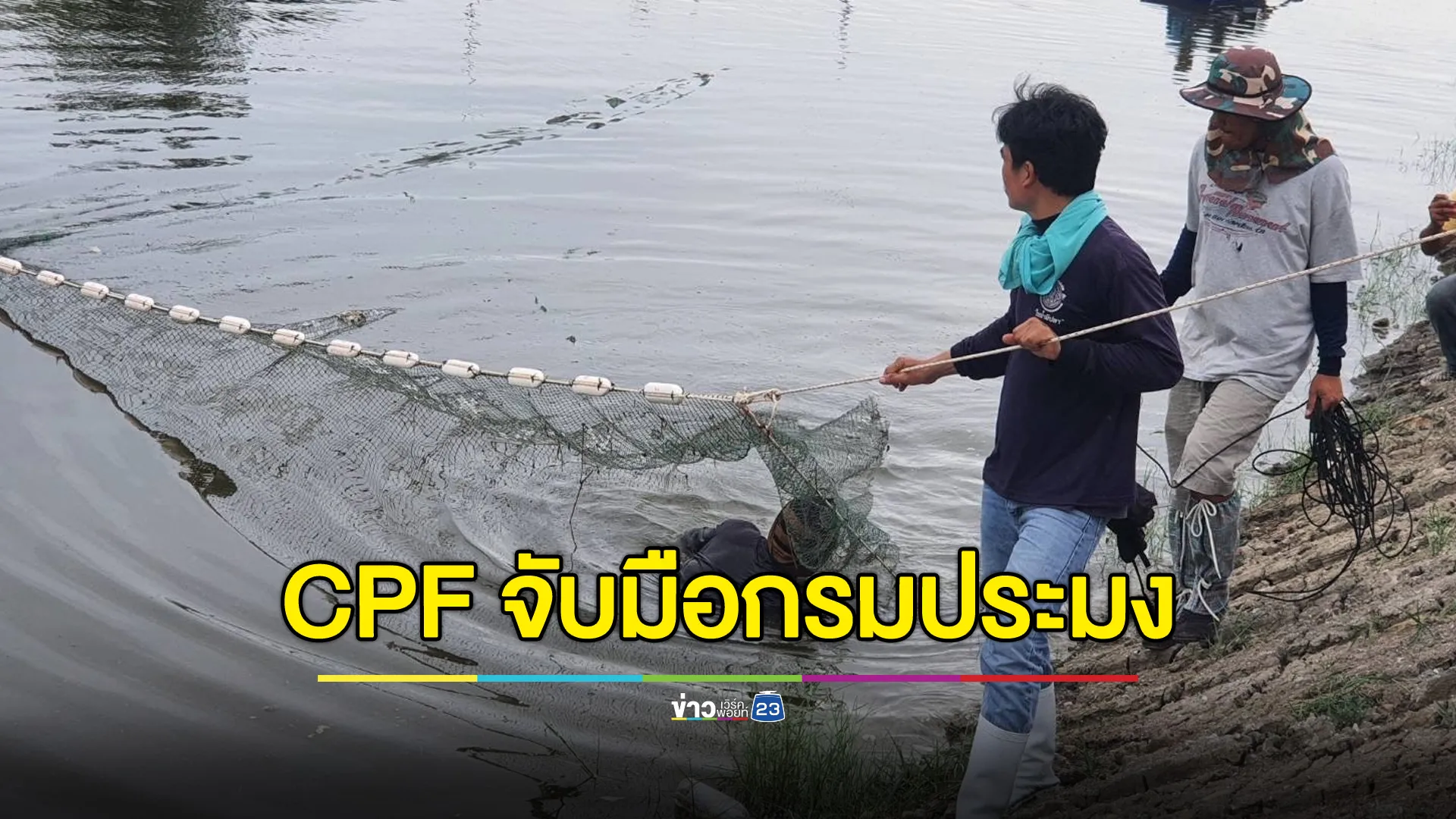 CPF จับมือกรมประมงปราบ “ปลาหมอคางดำ”