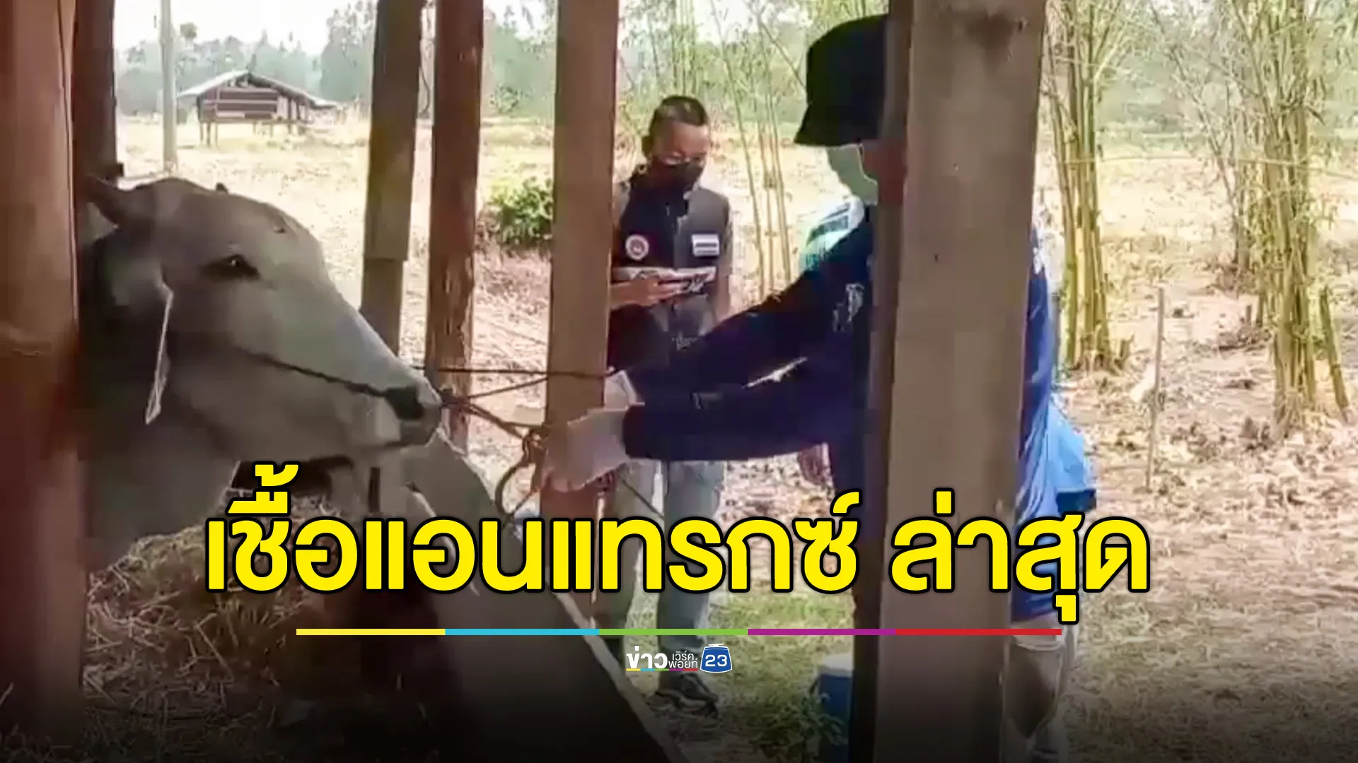 ประชุมเร่งด่วน หาสาเหตุที่มาเชื้อแอนแทรกซ์ เผยสถานการณ์มุกดาหารล่าสุด