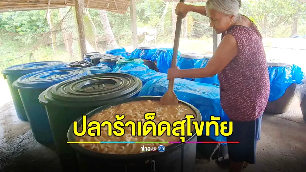 ปลาร้าเด็ดสุโขทัย ยายวัย 80 หมักกินเองมานาน 30 ปี