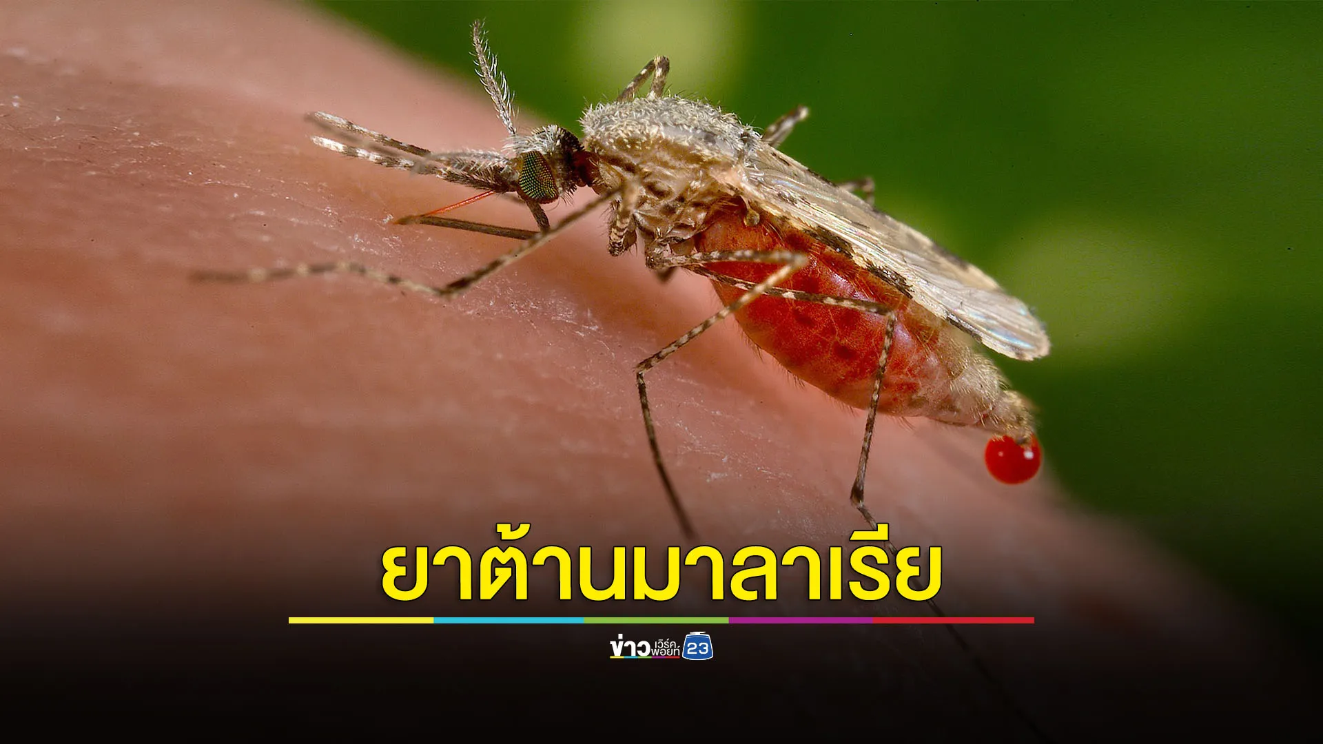 ซินโครตรอนร่วมพัฒนาใช้ยารักษามะเร็งเพื่อต้านมาลาเรีย