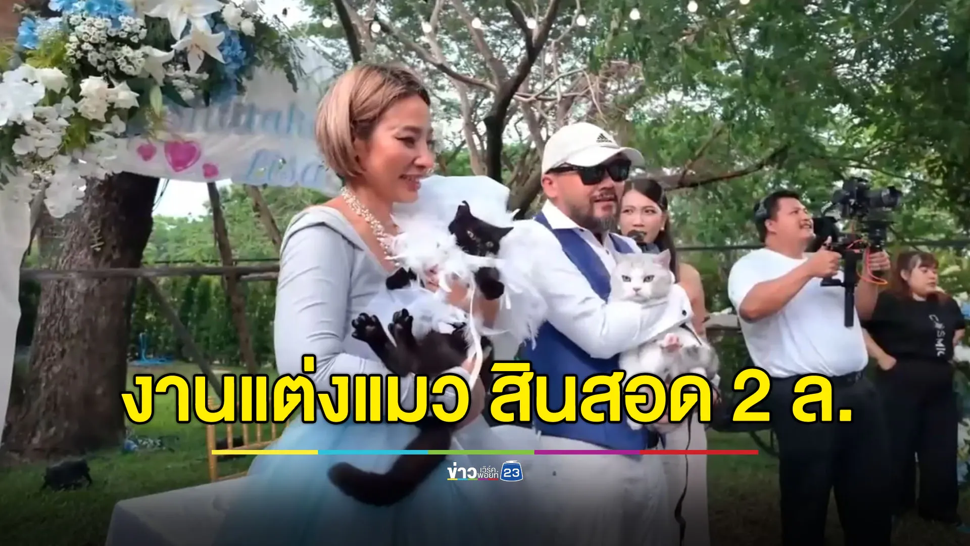 งานแต่ง 2 เหมียวสุดหรู สินสอด 2 ล้านบาท