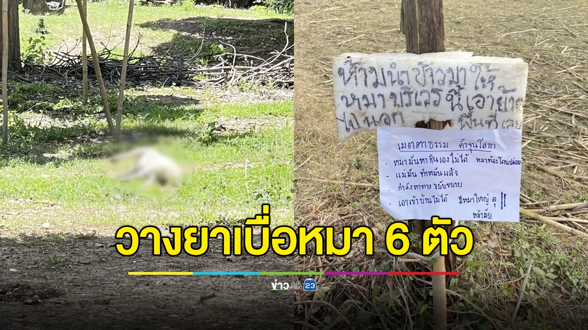 แจ้งจับเพื่อนบ้าน เชื่อวางยาหมาตาย 6 ตัว