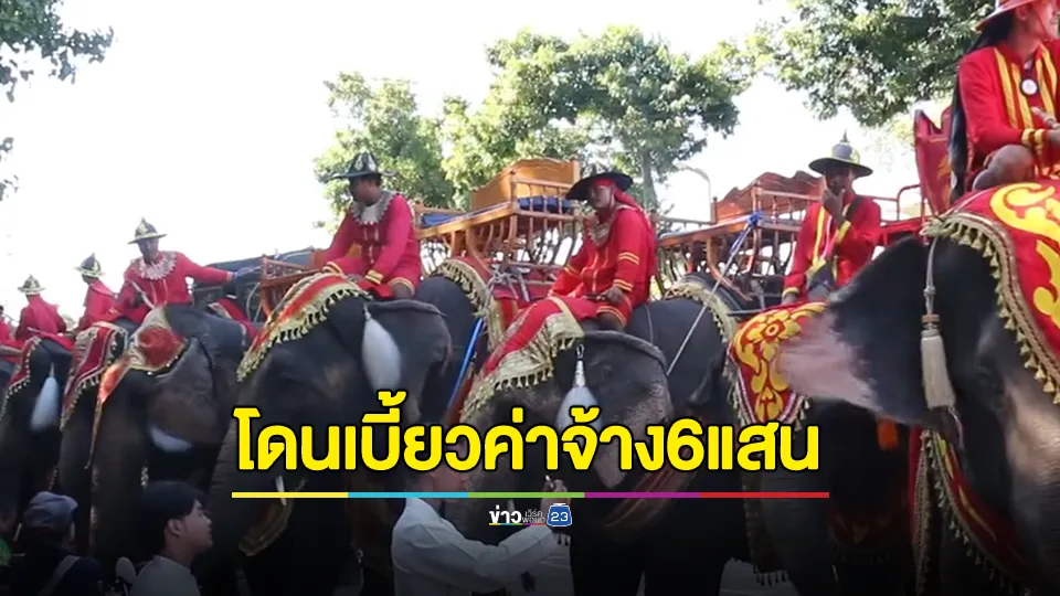 ควาญช้างช้ำ! ช้าง 33 เชือก ถูกเจ้าภาพเบี้ยวค่าจ้างกว่า 6 แสนบาท 