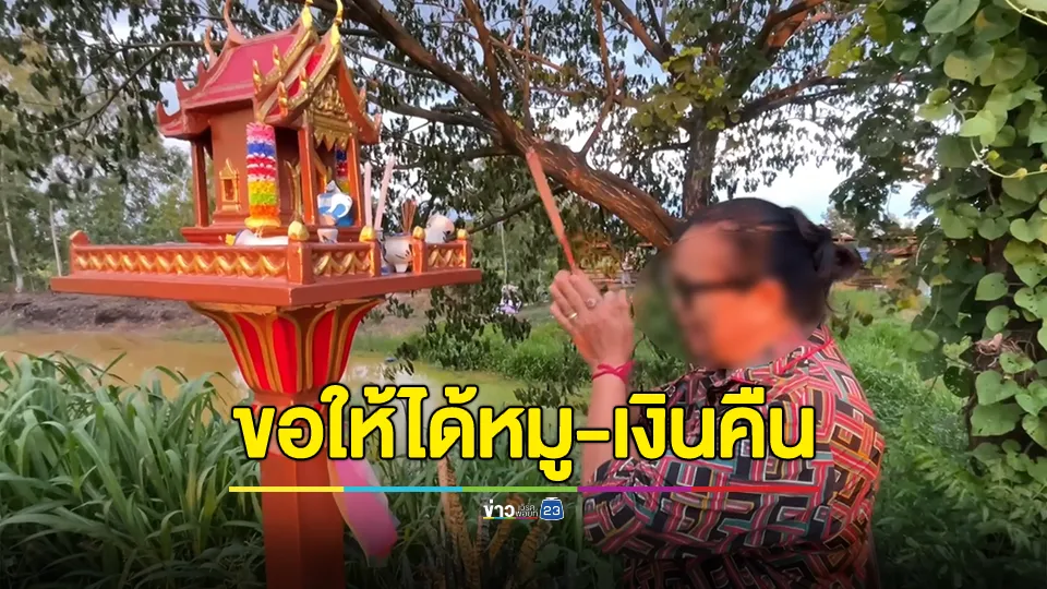 แก๊งโกงตาชั่งอาละวาด! ป้าเลี้ยงหมูโดน 9 ตัววิ่งตามลิ้นห้อย วอนล่าตัว