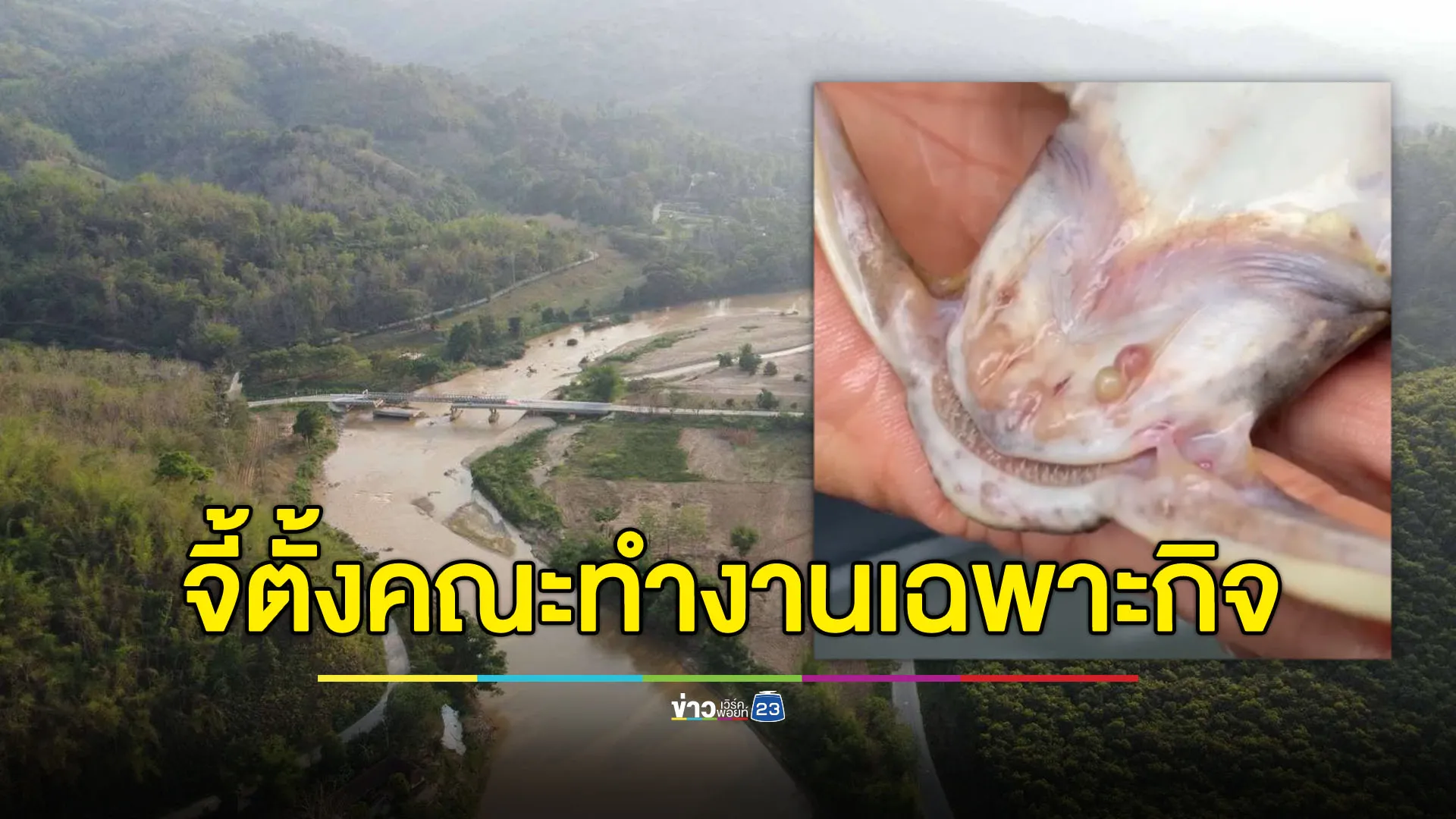 จี้รัฐบาลตั้งคณะทำงานเฉพาะกิจ แก้ลำน้ำกก-สายปนเปื้อน