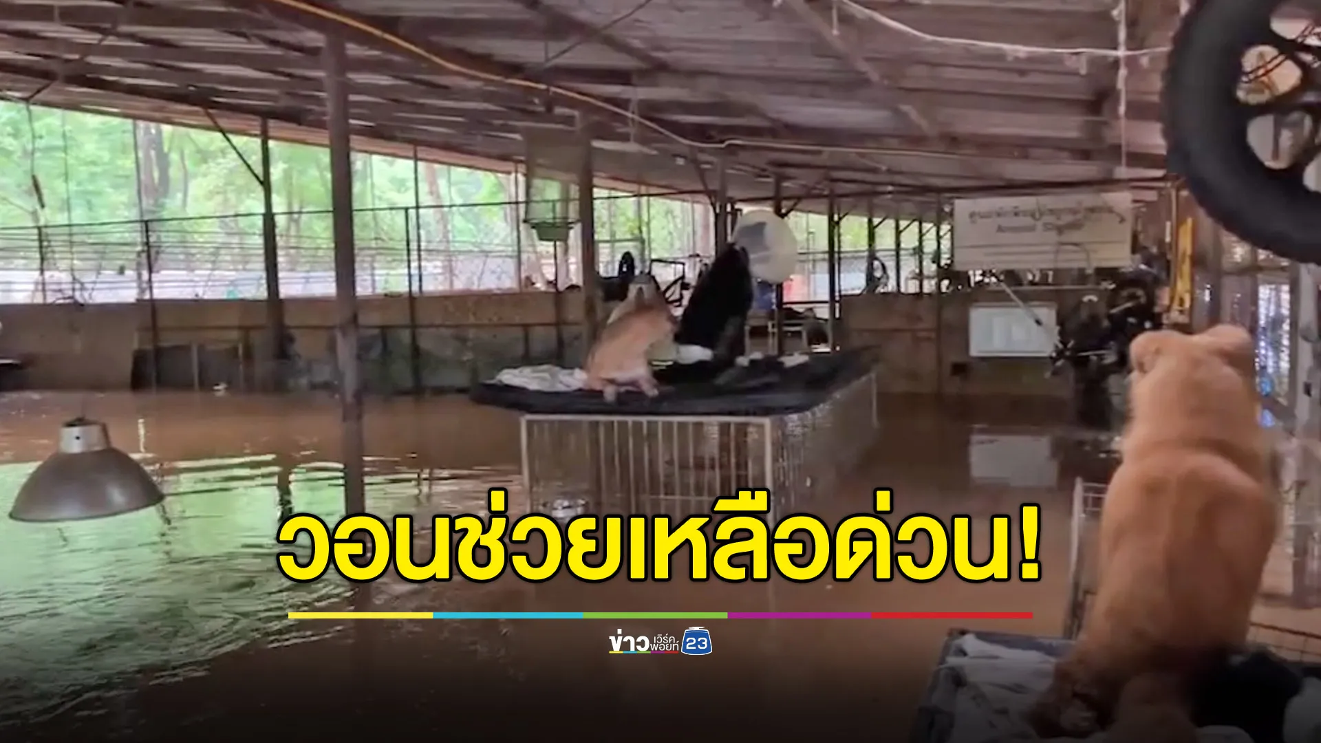 มูลนิธิอนุรักษ์ช้างฯ ขอความช่วยเหลือด่วน เจอน้ำทะลักซ้ำ