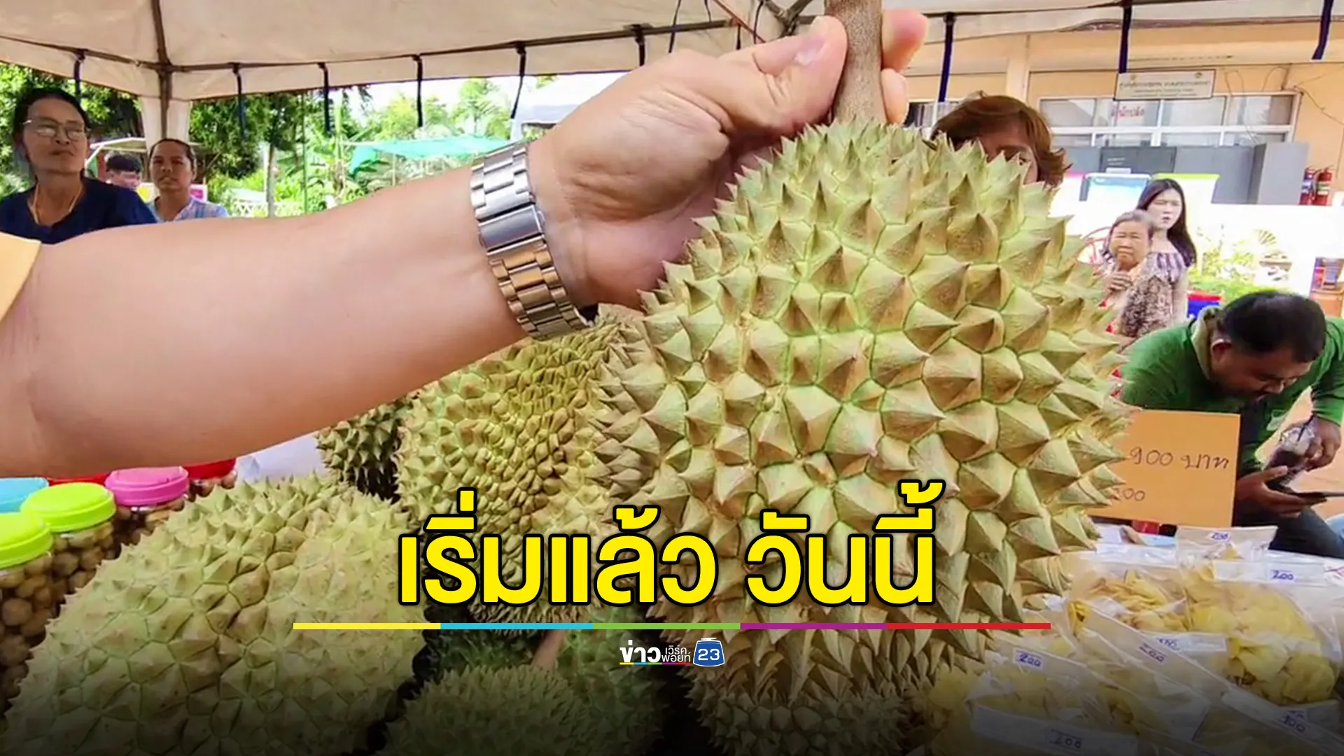 เริ่มแล้วเทศกาลทุเรียนบุญมาก ที่โคราช