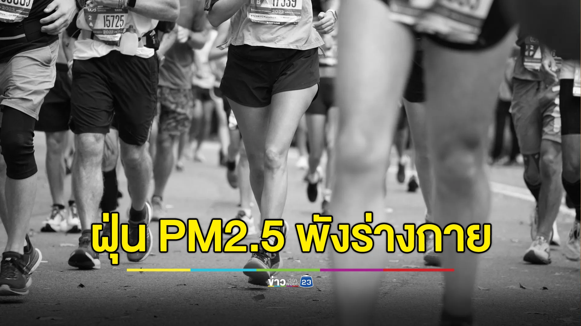 เปิดผลวิจัยสุดระห่ำ พบ PM2.5 พังทั้งเลือด พังทั้งปอด