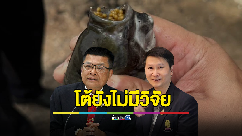 กรมประมง โต้ยังไม่มีวิจัย "ไข่ปลาหมอคางดำ" อึดทนตากแดด 2 เดือนแล้วยังฟักเป็นตัวได้ 