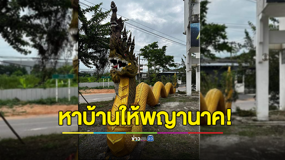 หาบ้านให้พญานาค! ล่าสุดหลายคนมาขอแต่ยังไม่มีใครได้ รอเจ้าของทำใบมอบให้