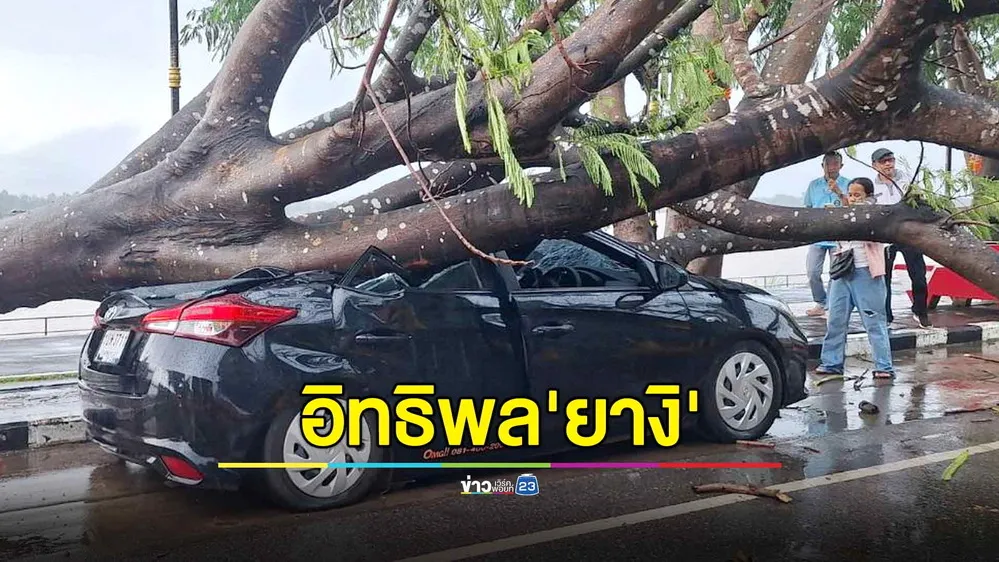 ระทึก! พายุหมุนพัดต้นไม้ใหญ่ริมโขง โค่นทับรถเก๋งพังยับ