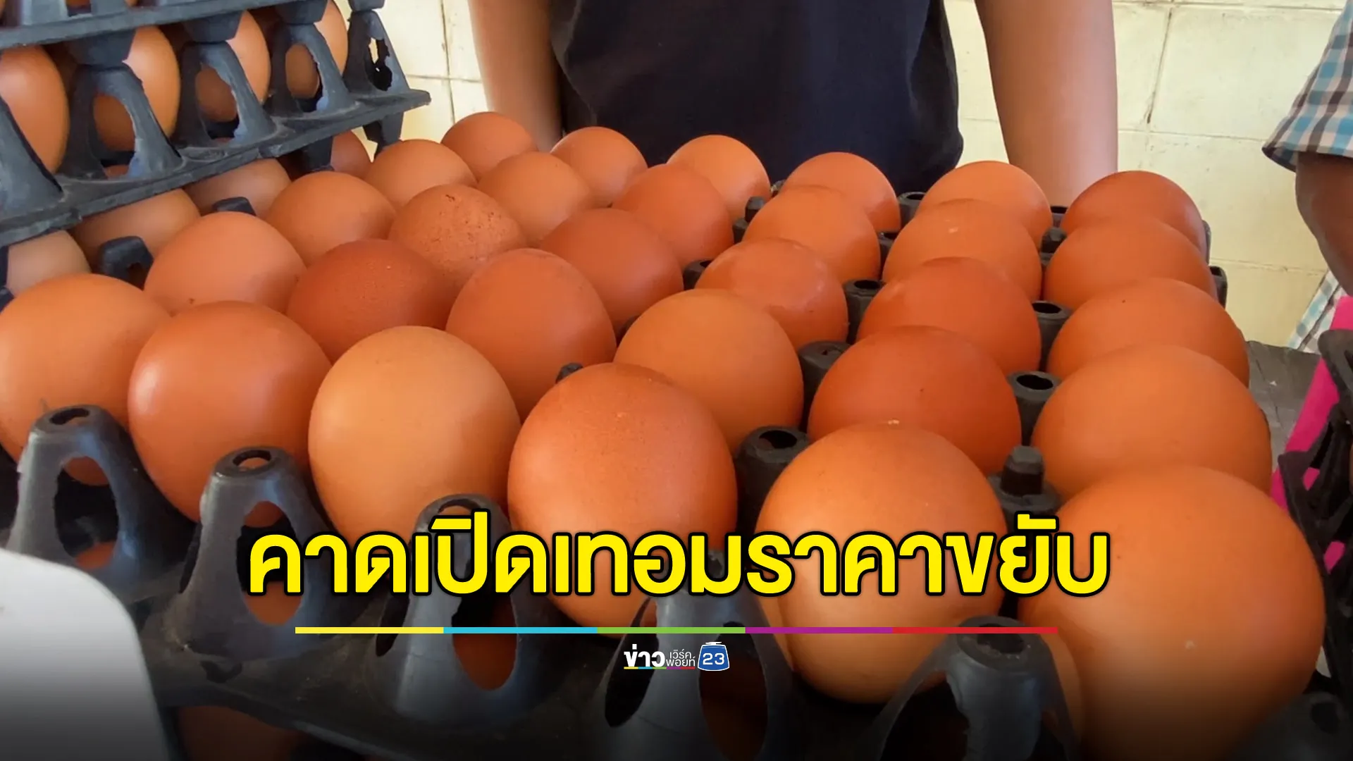 ผลพวงน้ำท่วม คาดเปิดเทอมราคาไข่ขยับขึ้นแผงละ 5 บ.