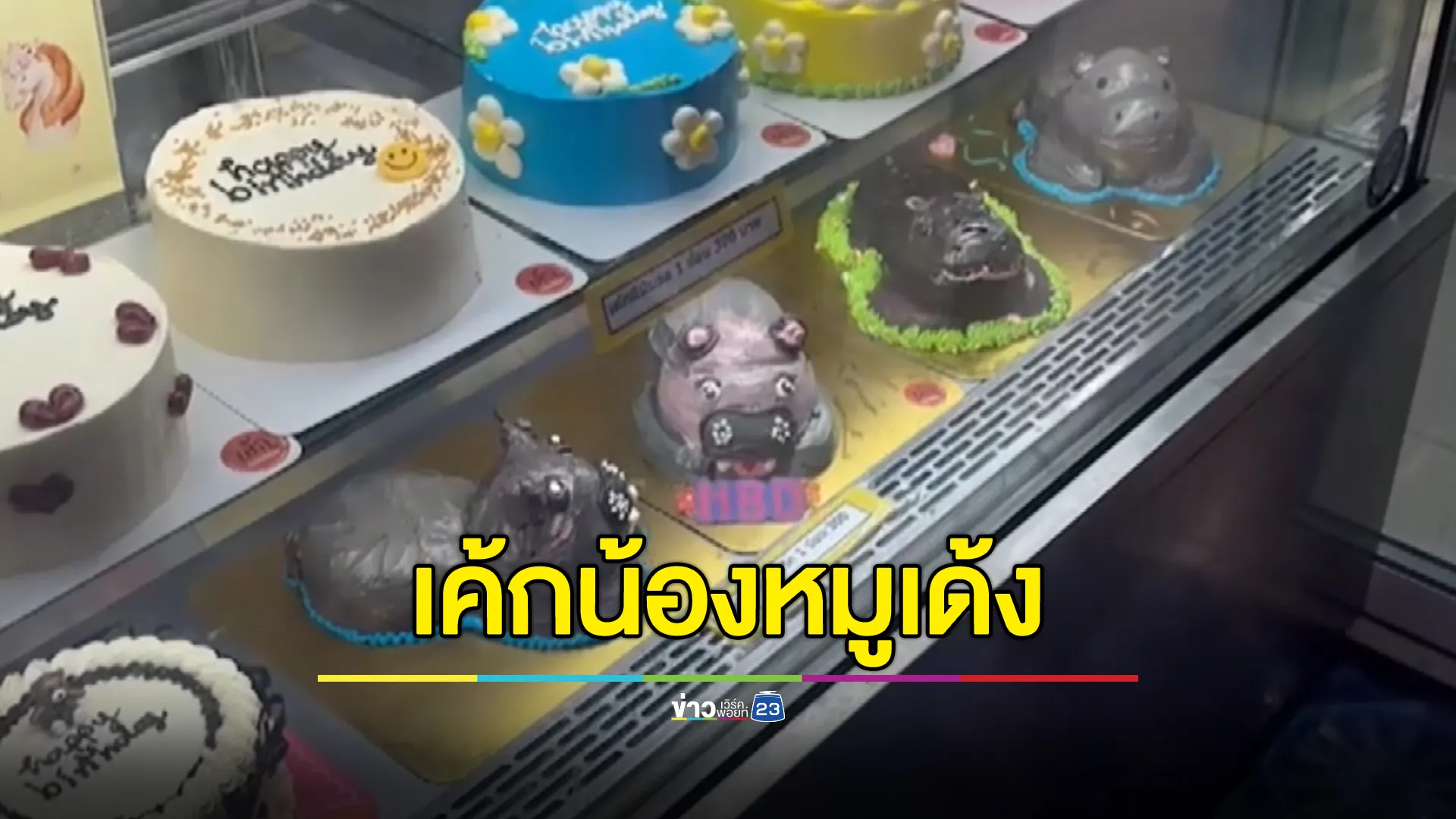 น้องหมูเด้งฟีเวอร์ ร้านเค้กทำ"เค้กน้องหมูเด้ง" 5 แบบ 5 หน้าตา