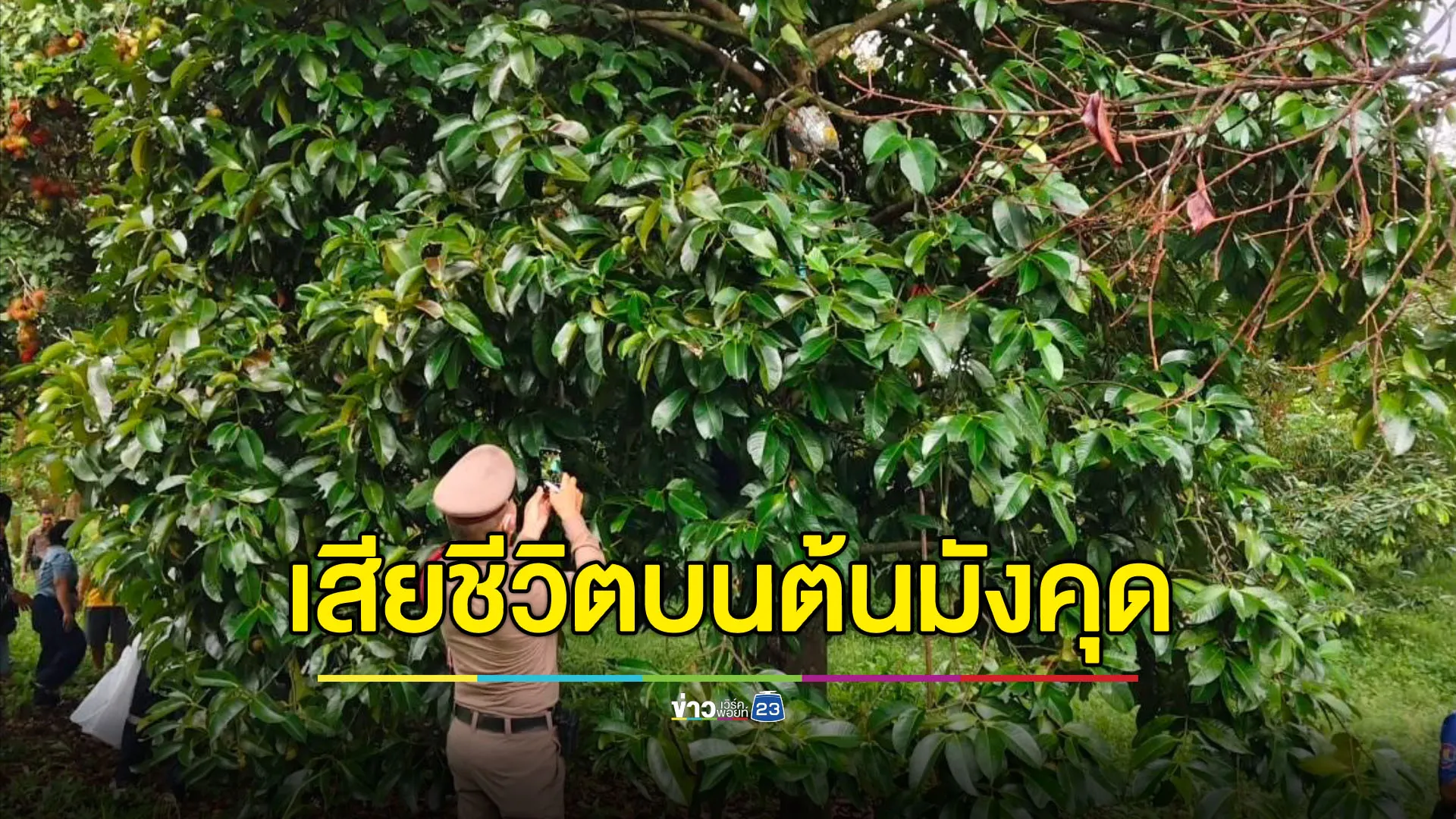 หญิงวัย 50 ดับปริศนาบนต้นมังคุด - 2 วันถึงพบศพ