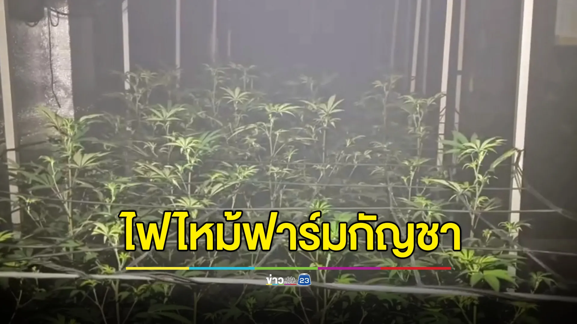 ไฟไหม้โรงกัญชากลางซอย ควันคลุ้งทั่วชาวบ้านเมา-ปวดหัว