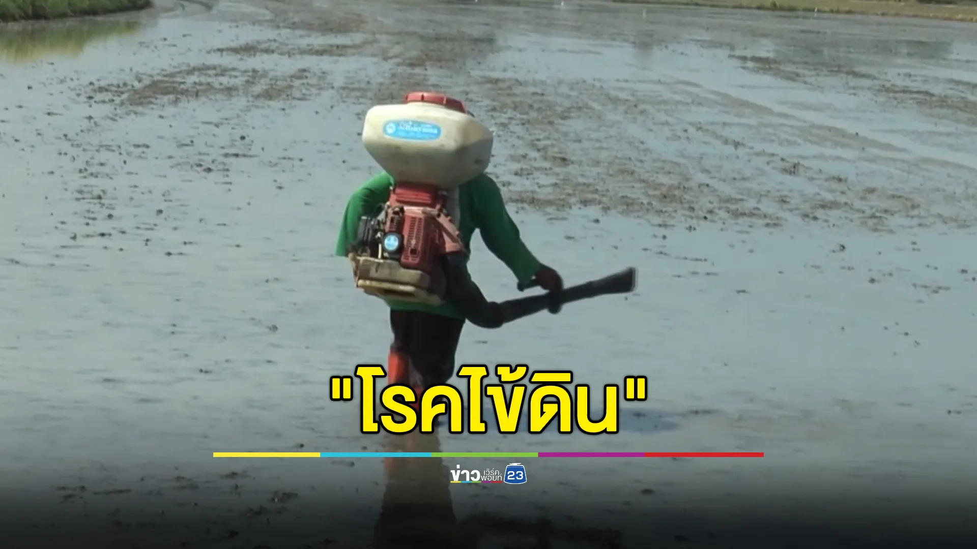 อัปเดต"โรคไข้ดิน" 4 จว.อีสานตอนล่าง ป่วย 147 ราย เสียชีวิต 5 ราย