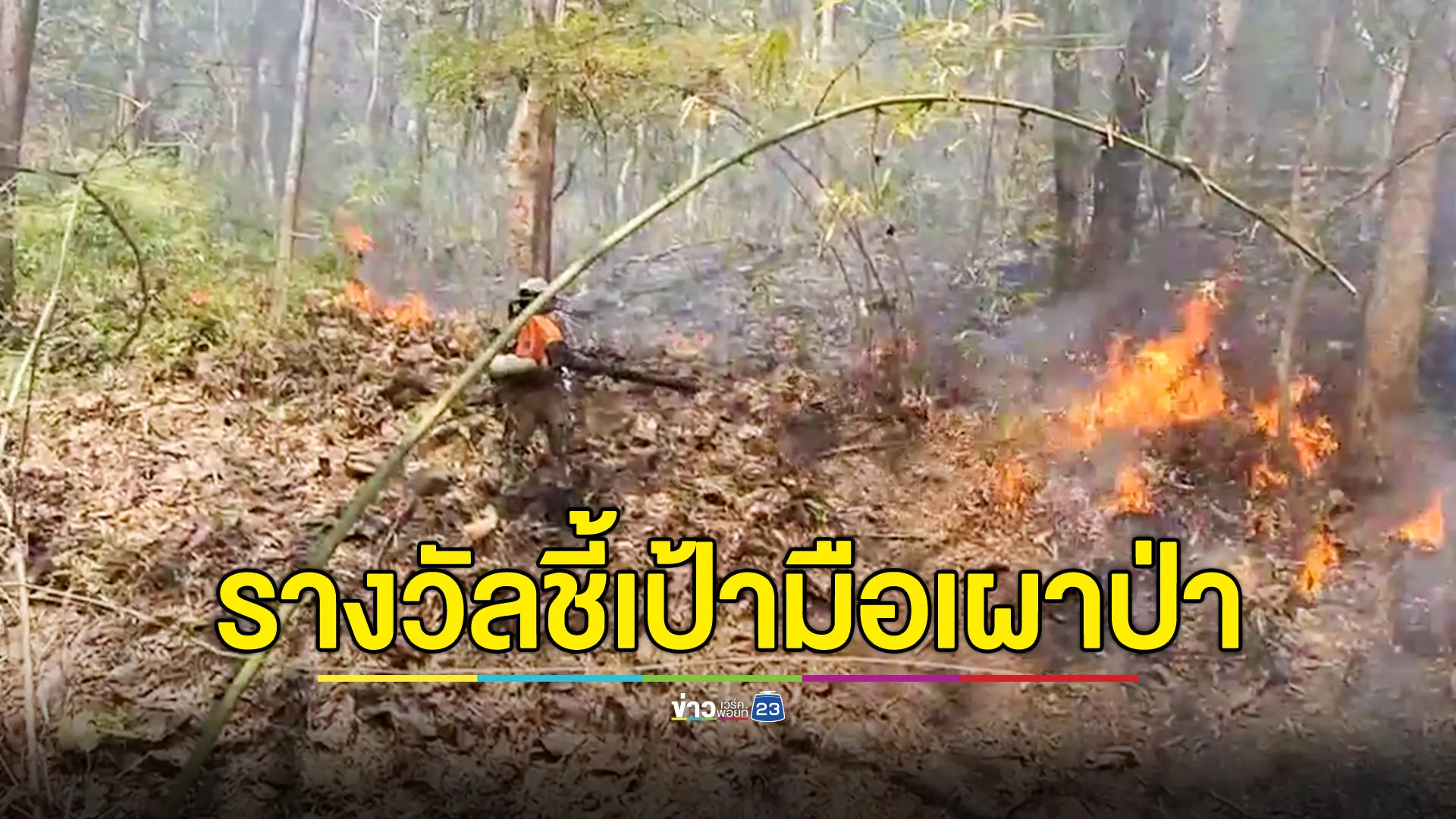 พ่อเมืองสามหมอก อัดฉีดเงินรางวัลให้ผู้ชี้เป้าคนเผาป่า จ่ายจริง 8,000 บาท 