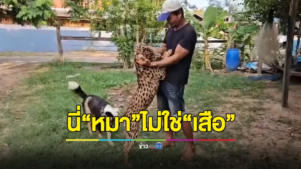 โอละพ่อ! ที่แท้ "หมา" ไม่ใช่ "เสือชีตาห์" เจ้าของยันไม่มีเจตนาหลอกใคร