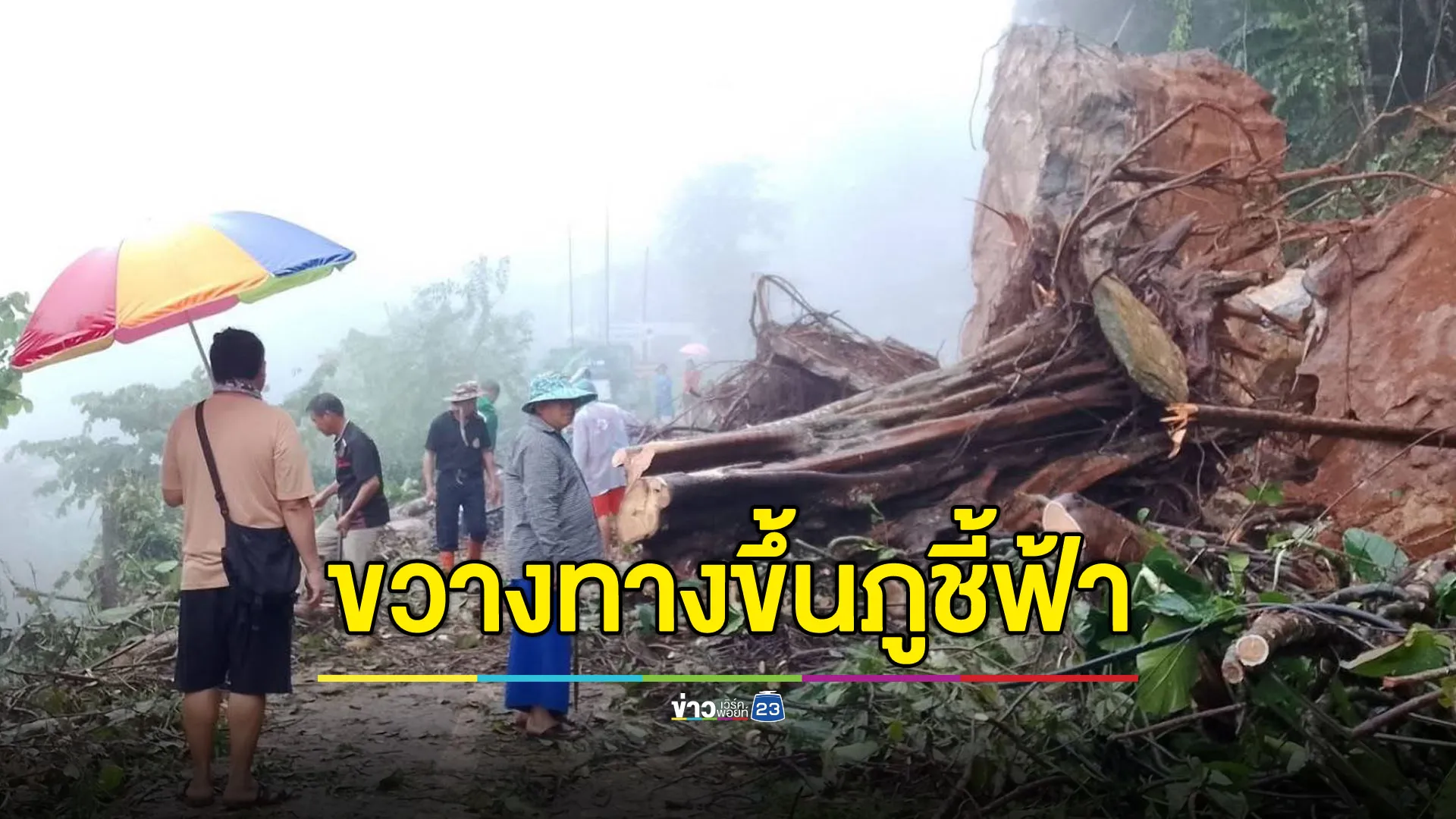 ฝนถล่มทำดินสไลด์ ต้นไม้-ก้อนหินขวางทางขึ้นภูชี้ฟ้า