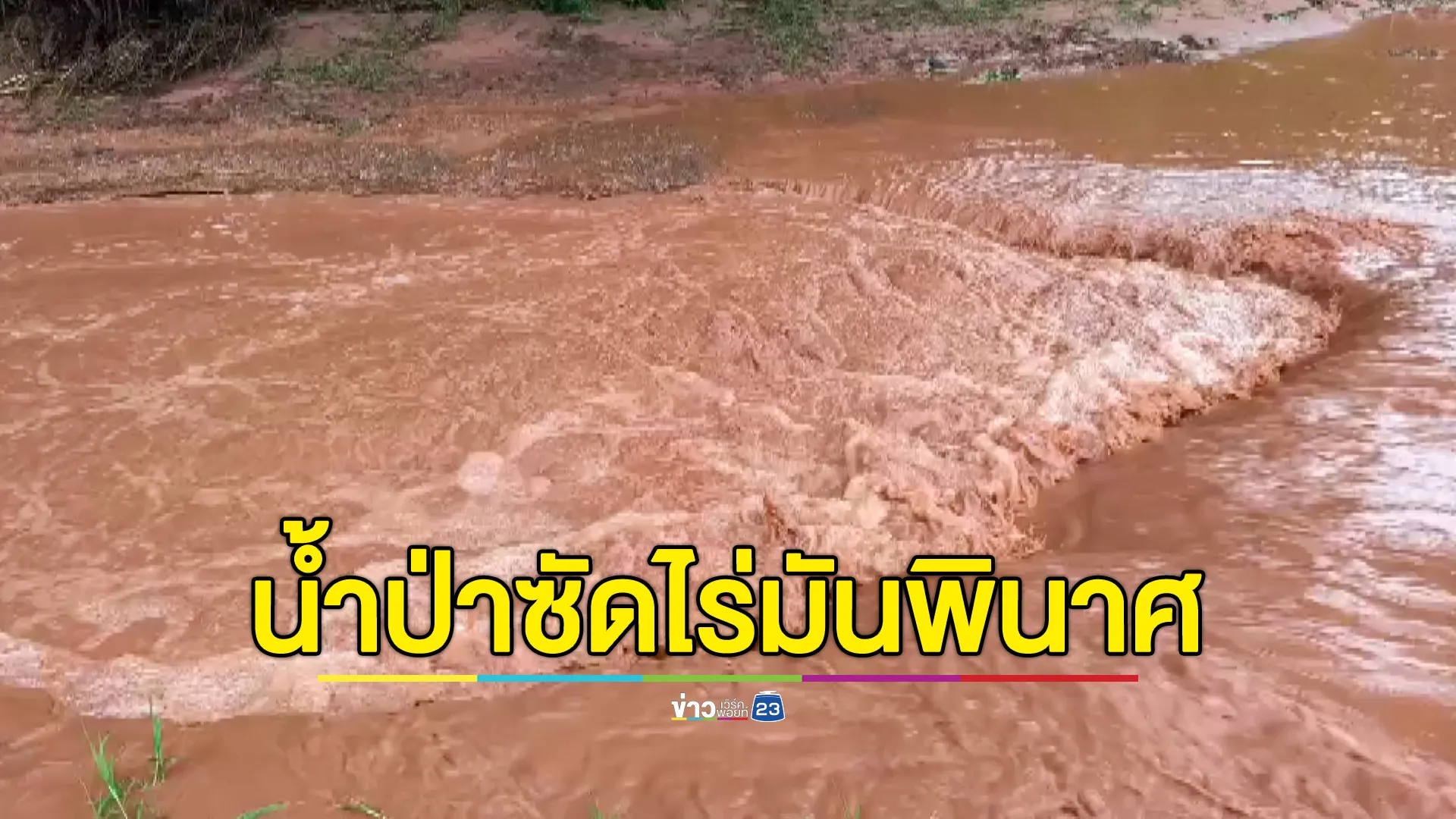 โคราชฝนตกหนัก น้ำป่าหลากซัดต้นมันสำปะหลังเสียหายหลายพื้นที่