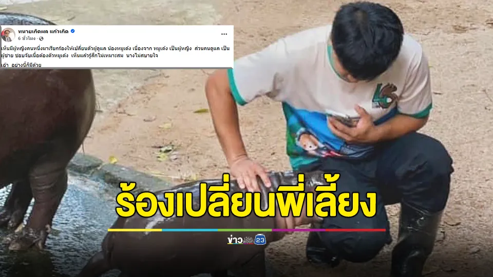 ทนายเกิดผลลั่น! "อย่างนี้ก็มีด้วย" หลังหญิงคนหนึ่งร้องให้เปลี่ยนตัวผู้ดูแล "หมูเด้ง" เหตุน้องเป็นผู้หญิง