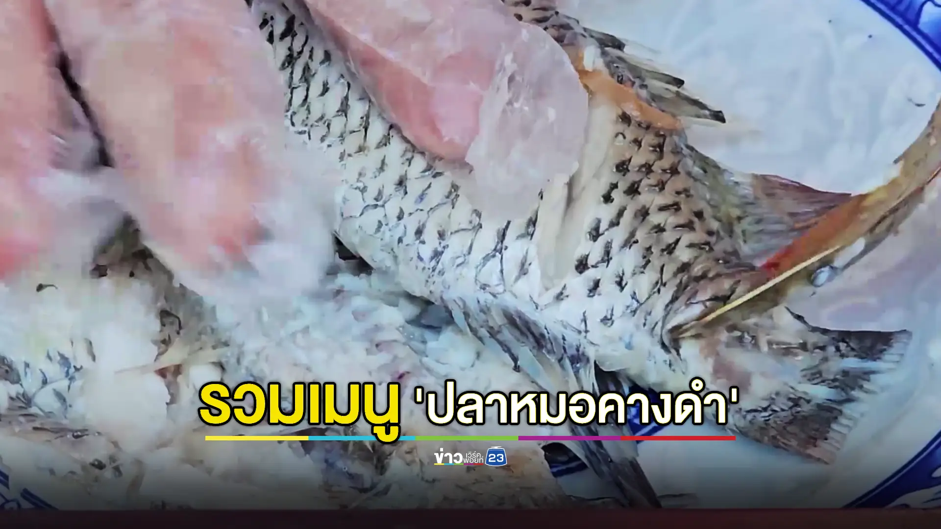 วัดดังเลี้ยงฟรีขนมจีนน้ำยา 'ปลาหมอคางดำ' ถวายเป็นพระราชกุศล