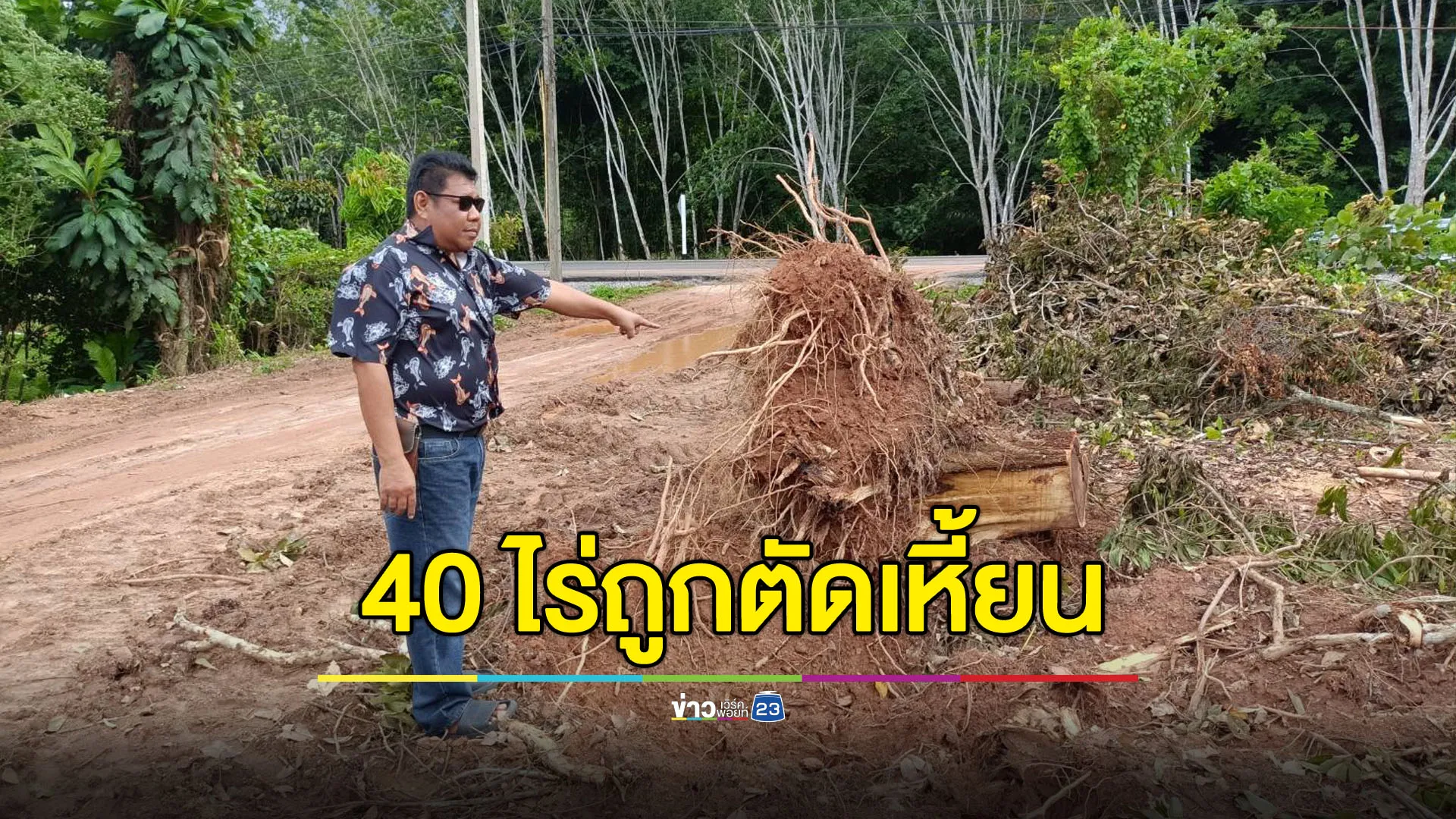 เจ้าหน้าที่อยู่ไหน สวนยางในที่ป่าสงวนถูกโค่นเหี้ยน 40 ไร่