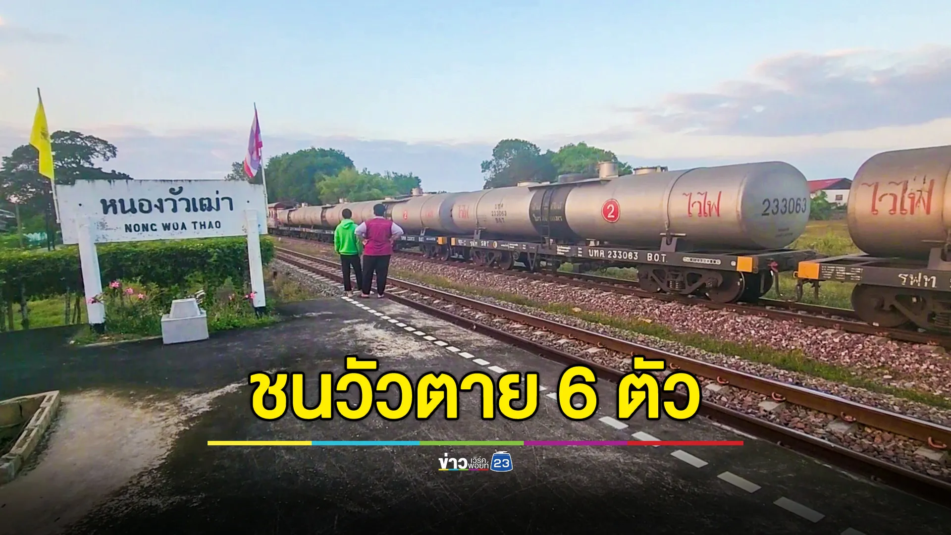 รถไฟขนน้ำมันชนวัวตายยกฝูง 6 ตัว