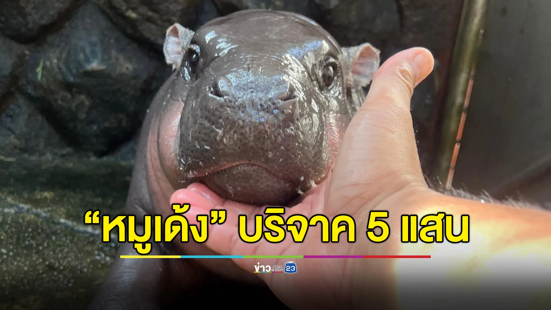 “หมูเด้ง” บริจาค 5 แสน ช่วย 10 โรงเรียนฟื้นฟูน้ำท่วม