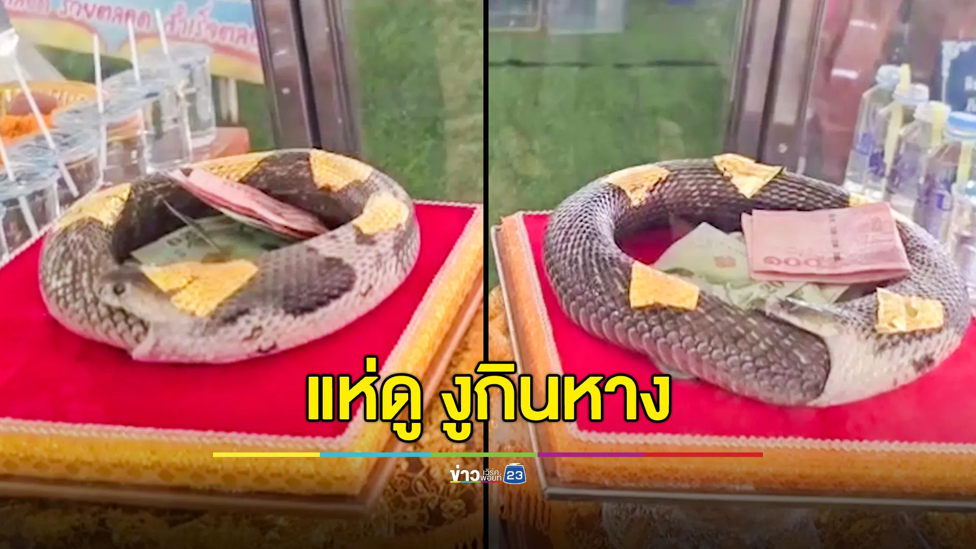 แห่ดูงูกินหาง ด้านหลวงพ่อวัดท่าเสา เตือนสติ “มองให้เป็นของแปลกอย่างมงาย”