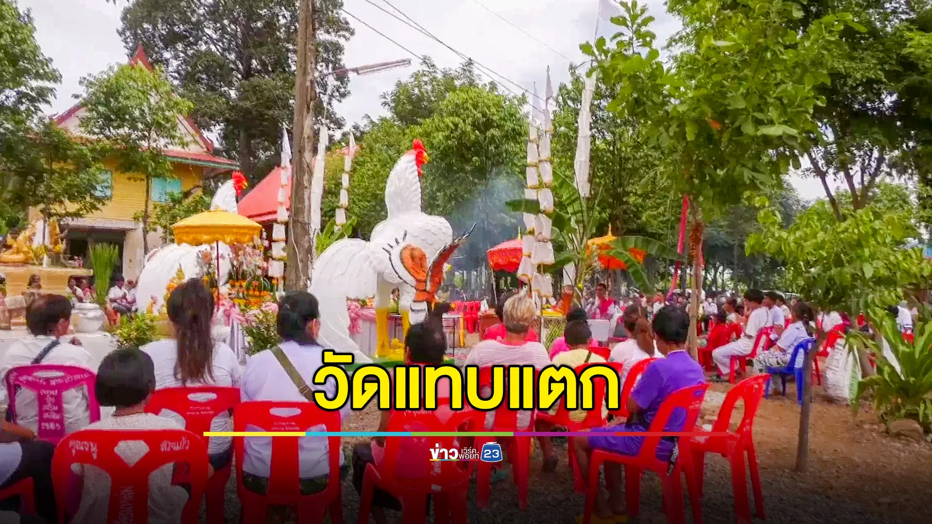 วัดแทบแตก! แห่ขอเลขเด็ดพญาไก่ขาว