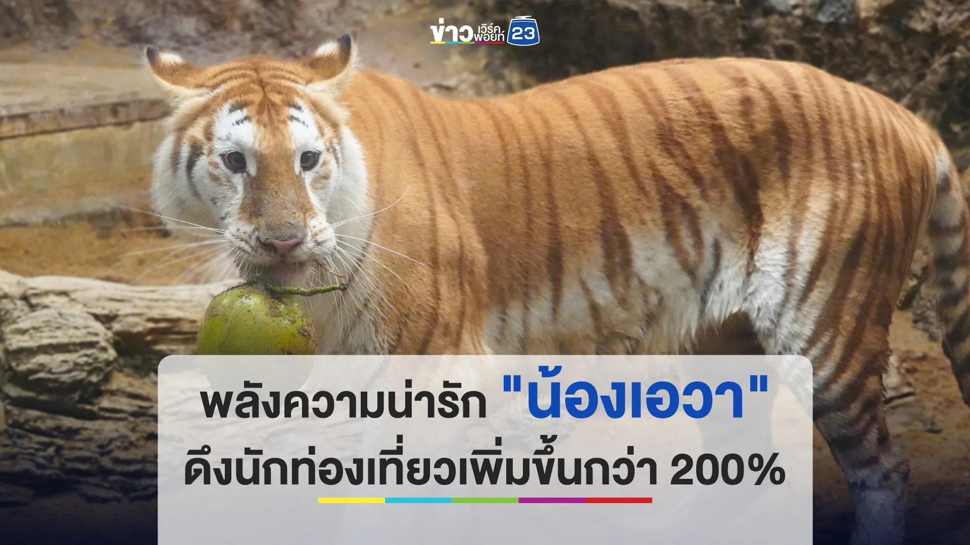 พลังความน่ารัก "น้องเอวา" ดึงนักท่องเที่ยวเพิ่มขึ้นกว่า 200% 