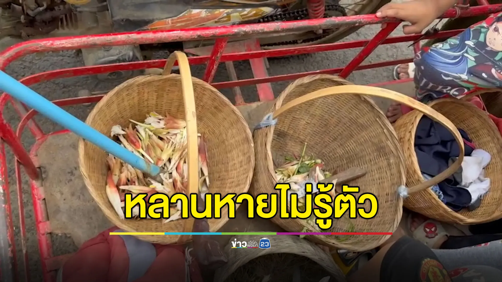 ยายมัวแต่เก็บดอกดิน หลาน 6 ขวบหายบนเขาพนมรุ้ง