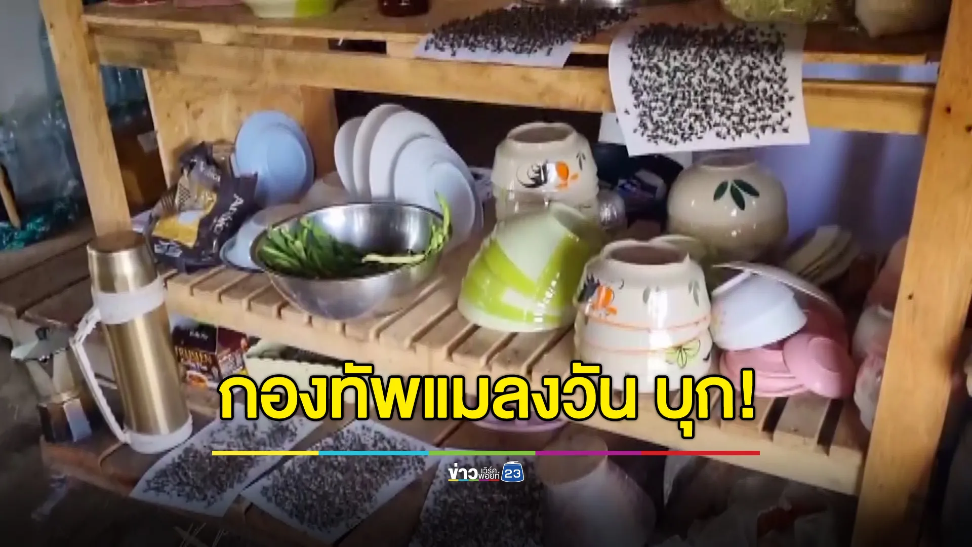 กองทัพแมลงวันบุก ชาวบ้านเดือดร้อนหนักต้องกางมุ้งกินข้าว-ร้านอาหารขายไม่ได้ 