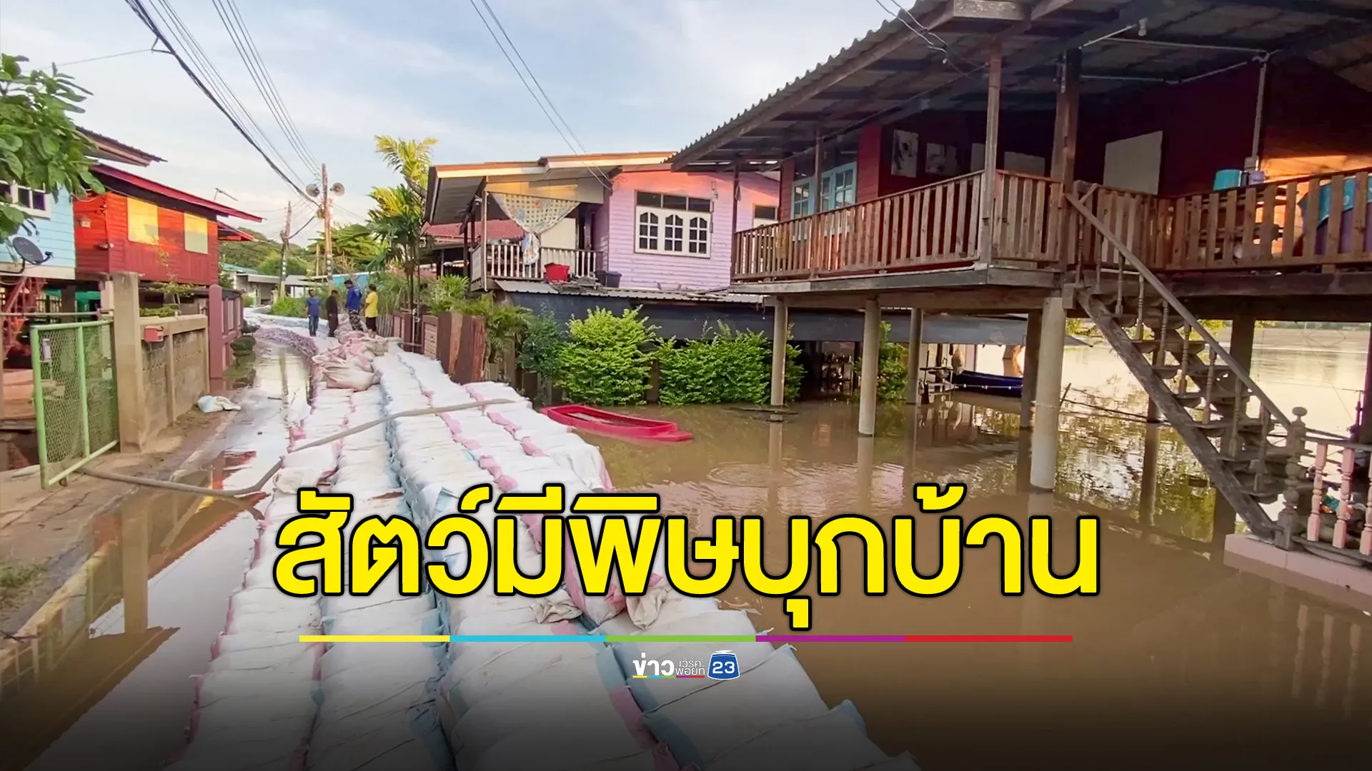 สัตว์มีพิษหนีน้ำท่วมบุกบ้าน 