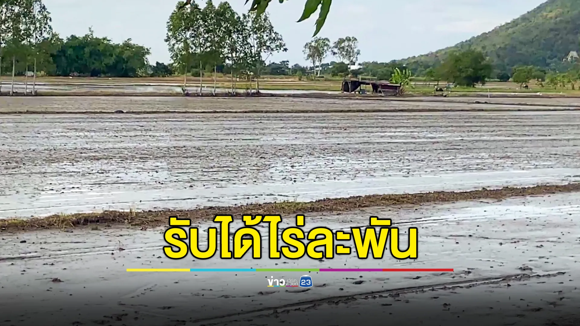 รับได้ถ้า รบ.ช่วยชาวนาไร่ละพัน พยุงราคาข้าว-ลดค่าน้ำมัน