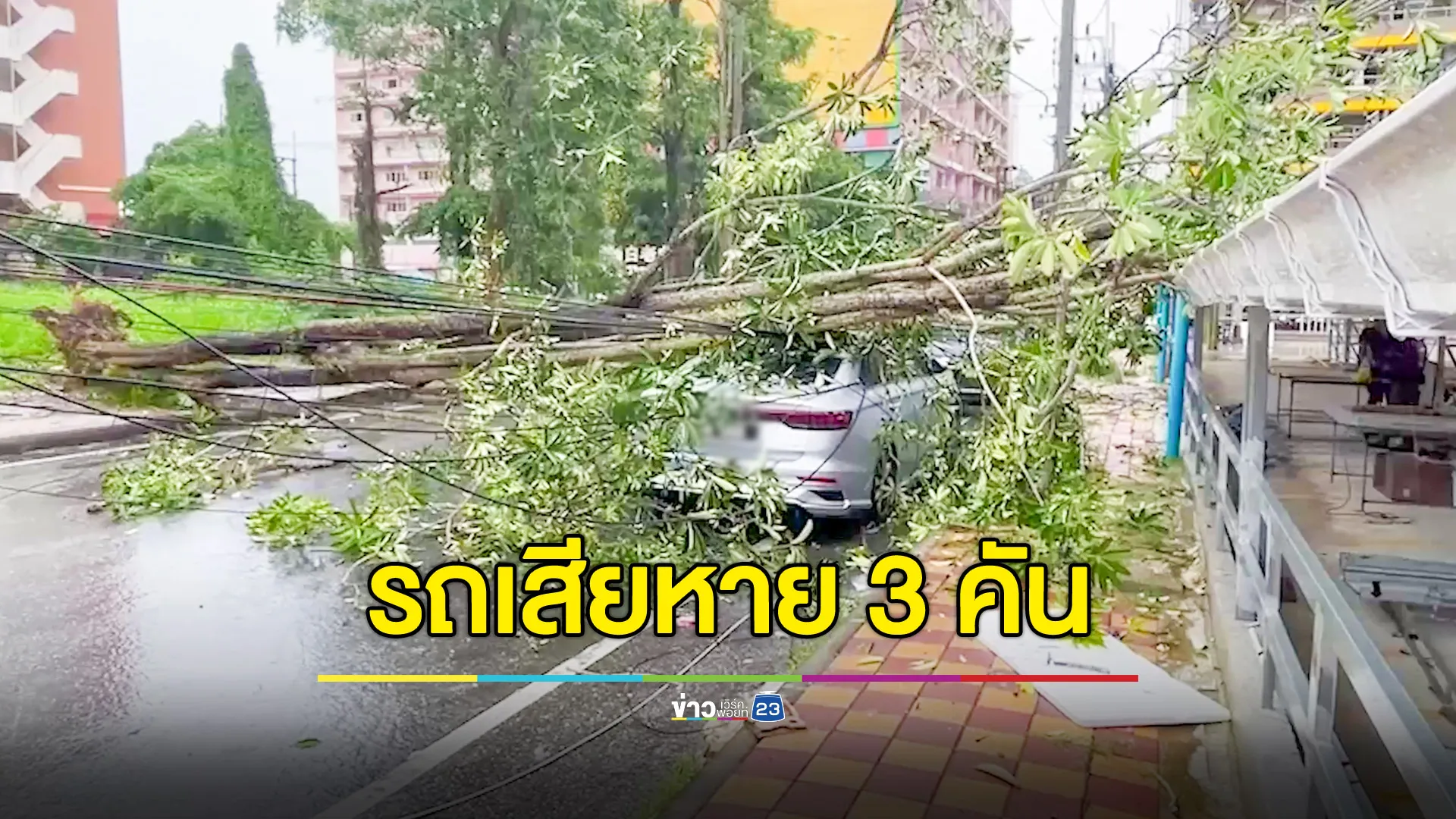 ฝนตกหนักลมพัดแรง ต้นไม้ใหญ่-เสาไฟล้มทับรถยนต์ นทท.เสียหาย 3 คัน 