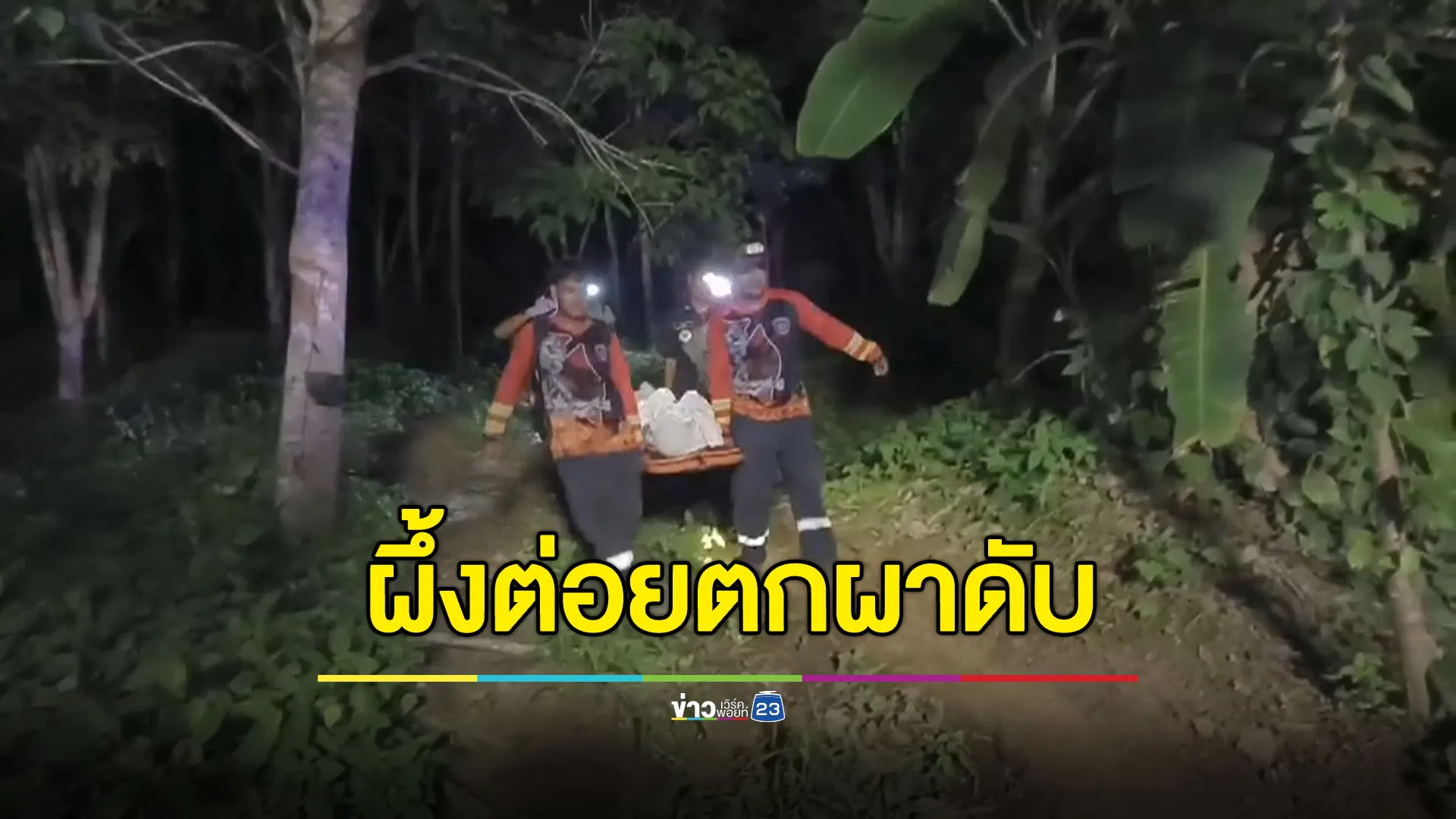 หนุ่ม 39 ขึ้นเขาไปตีผึ้ง เจอผึ้งต่อยตกผาดับ