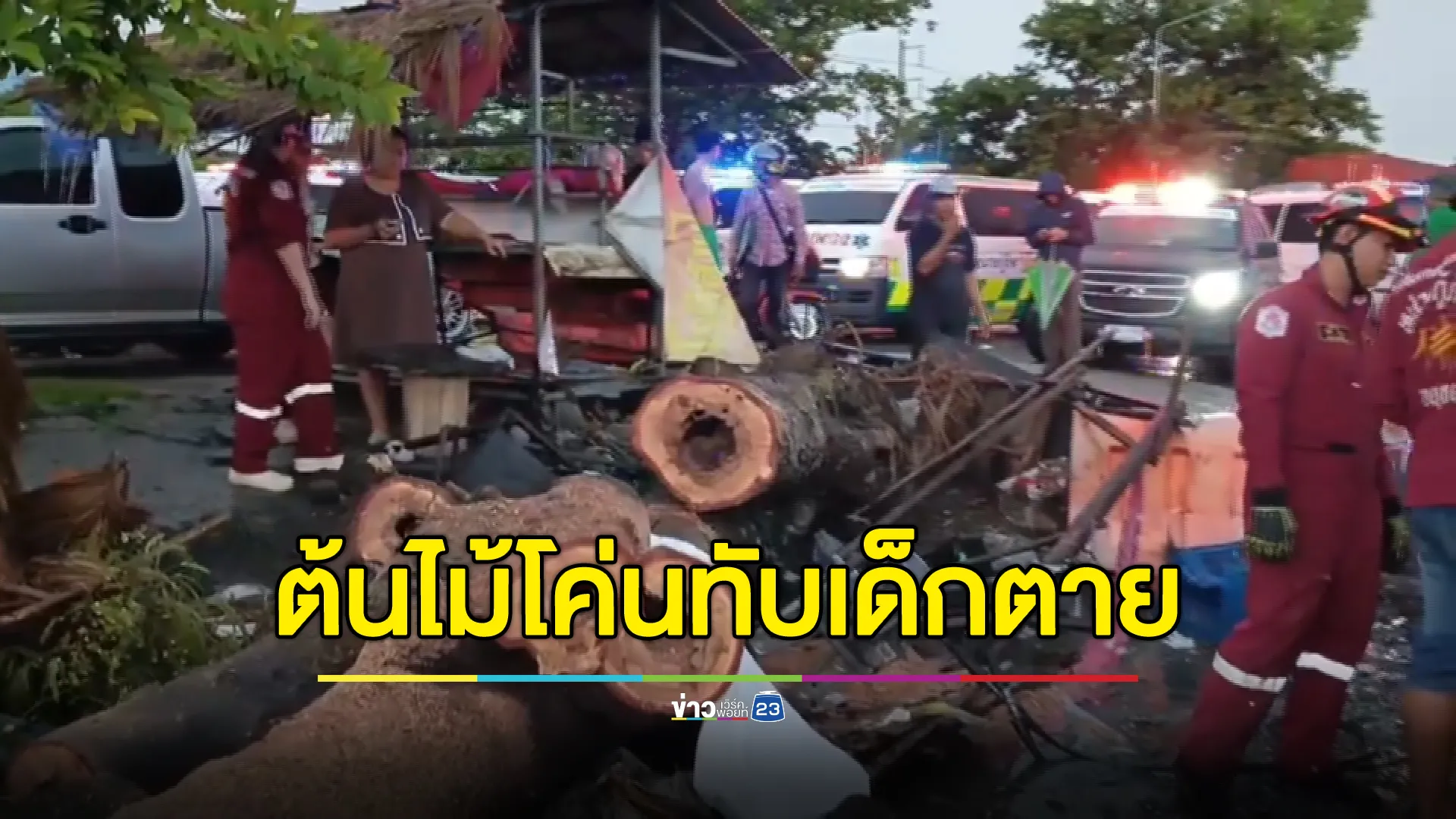 สลด! พายุลมแรงซัดต้นไม้โค่นทับร้านโรตี เด็ก 9 ขวบ ถูกทับดับ