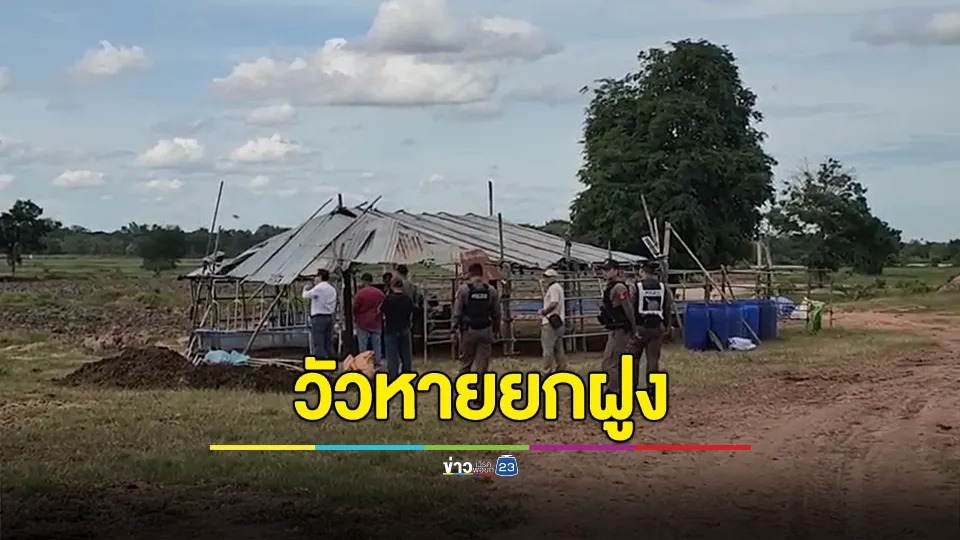 จ้างหนุ่มโคราช เลี้ยงวัวฝูงกว่า 100 ตัว ก่อนเสียชีวิตกะทันหัน พบอีกทีวัวหายยกฝูง 