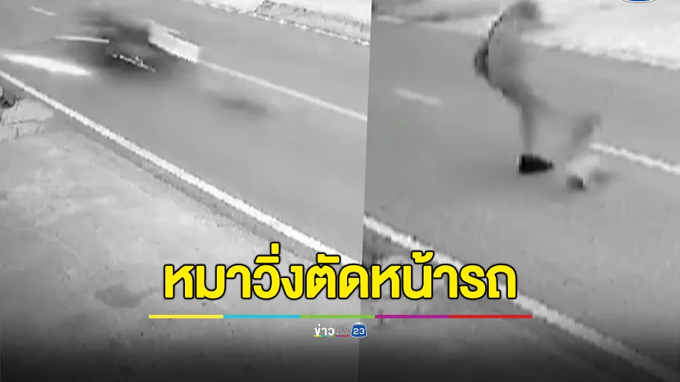 หมาวิ่งตัดหน้ารถ จยย.ล้มคว่ำ ก่อนลุกขึ้นเตะหมาซ้ำ